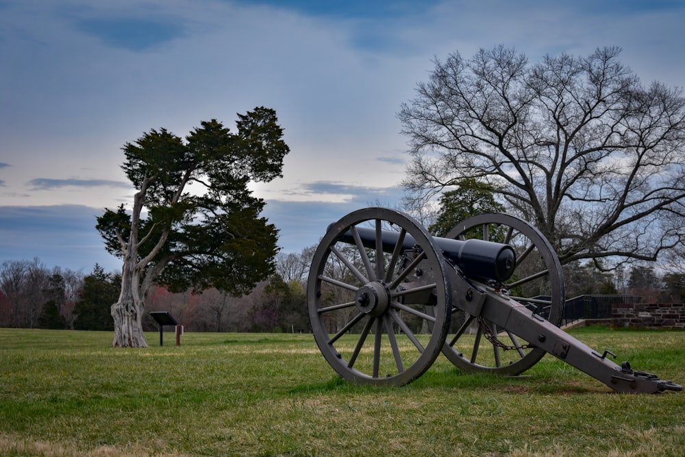 a large cannon sitting on top of a lush green field