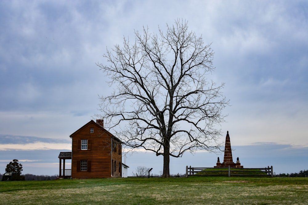 a lone tree stands in front of a small house