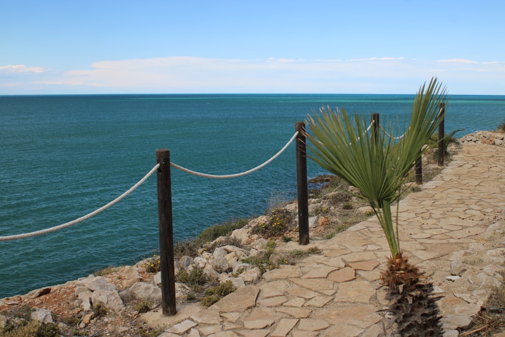 a stone path next to a body of water