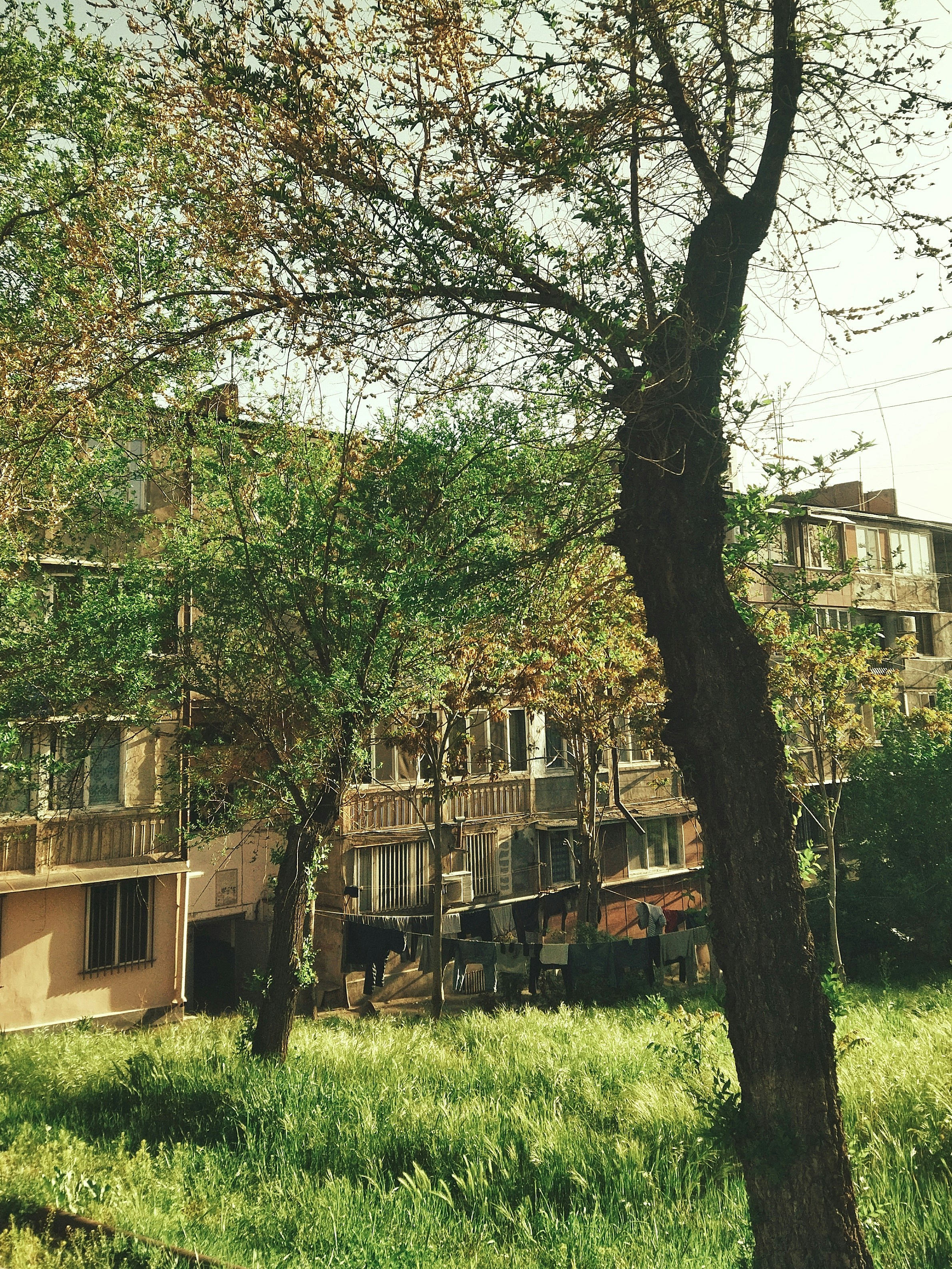 yerevan, armenia image