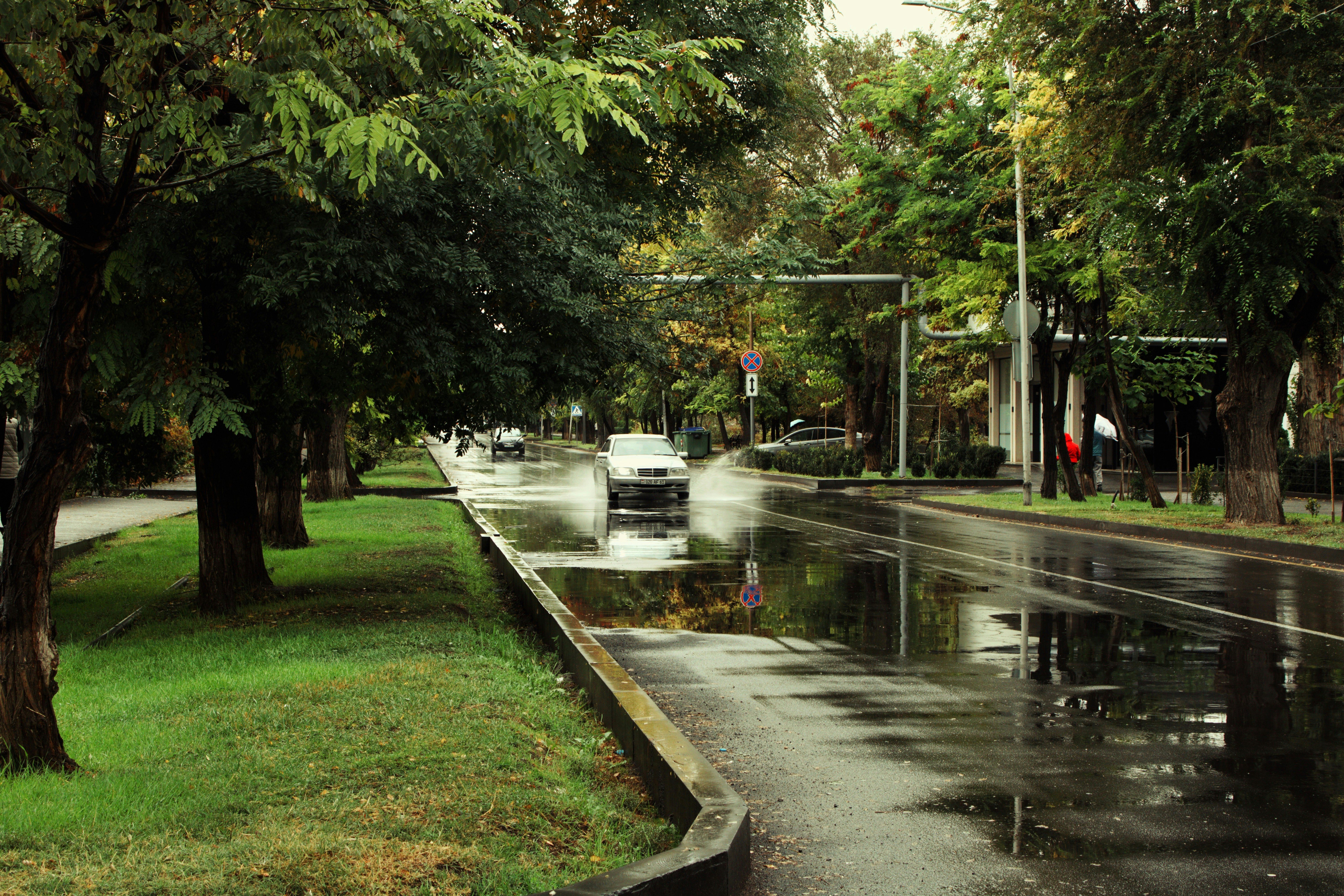 a car driving down a rain soaked street