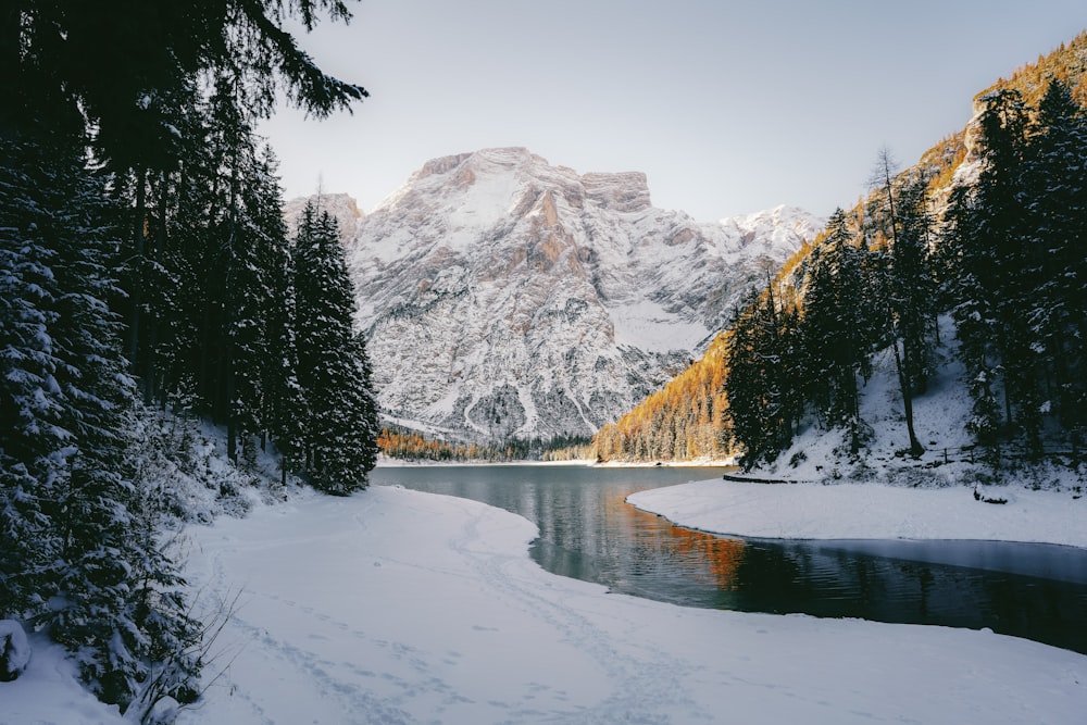 a snowy landscape with a mountain in the background