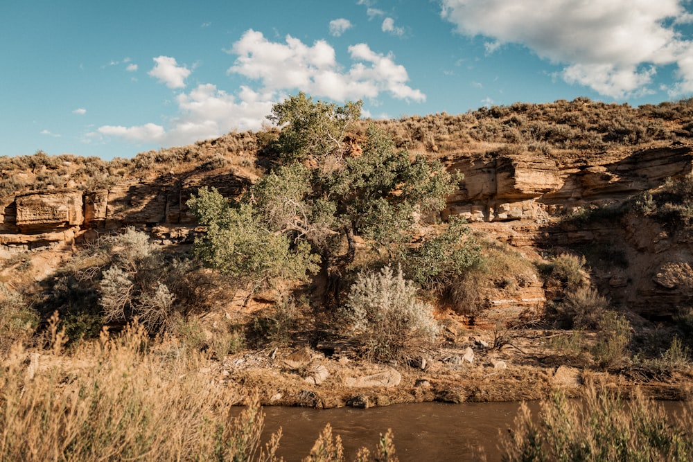 a river running through a dry grass covered hillside