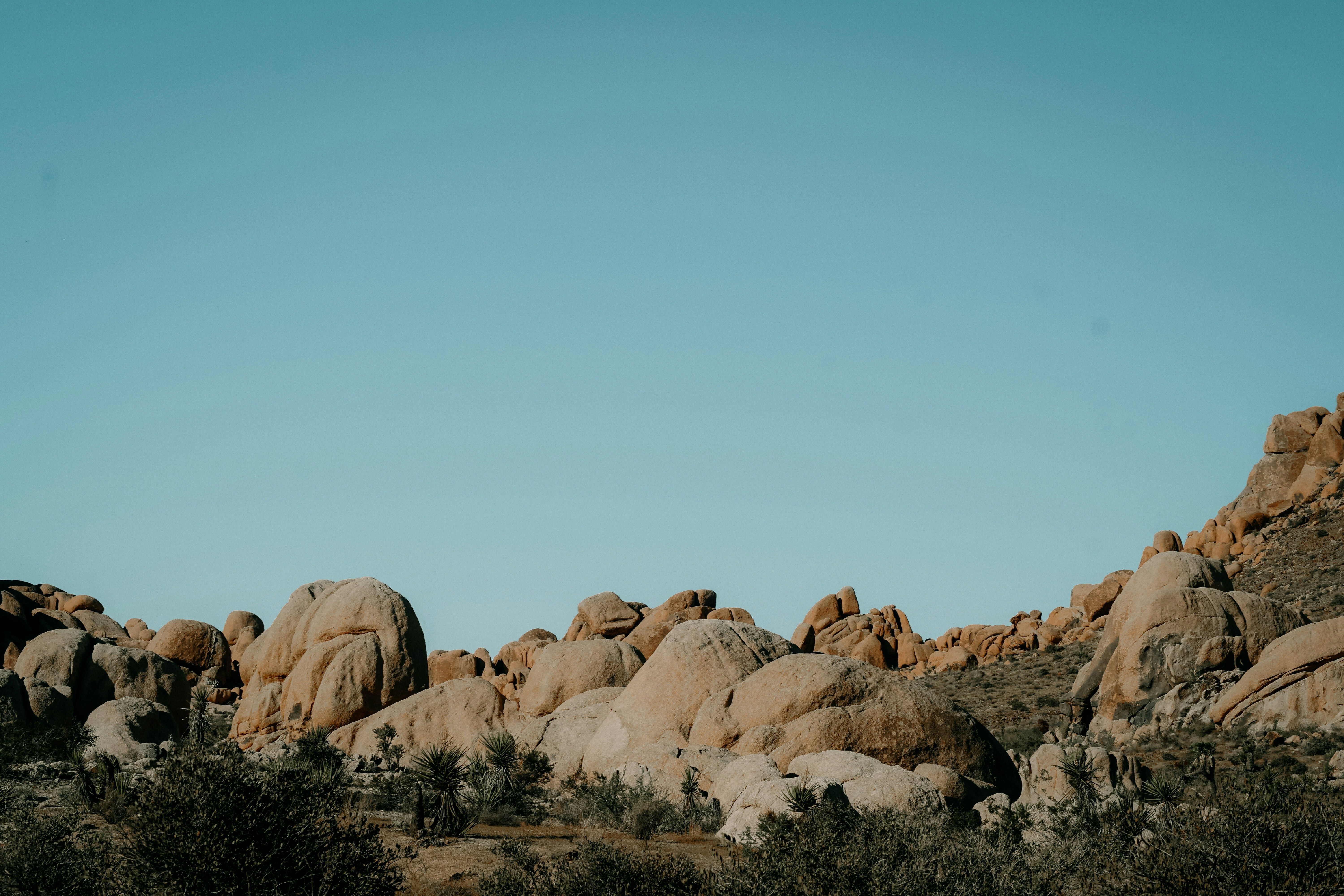 Photo by carbonsource