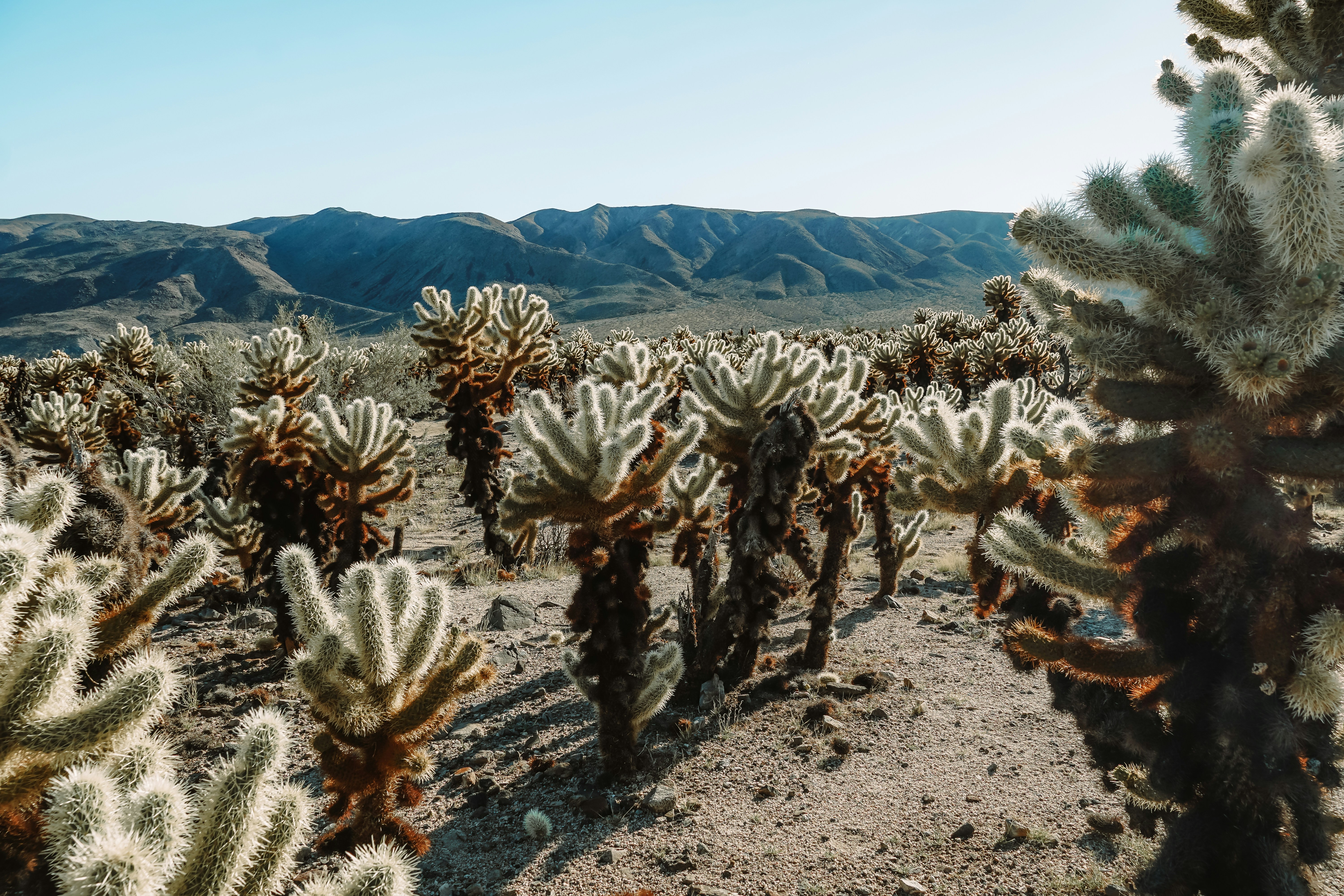 Photo by carbonsource