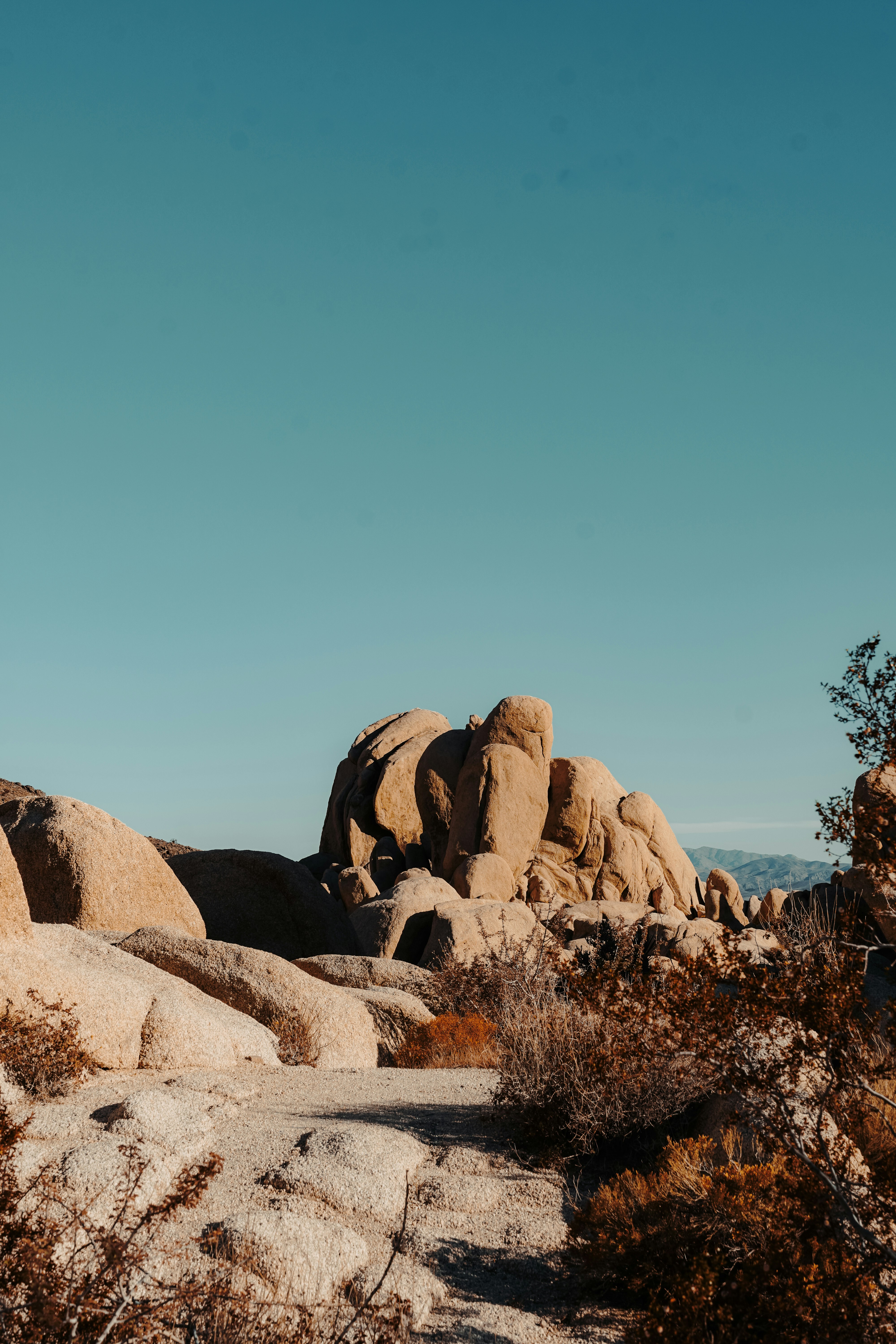 Photo by carbonsource