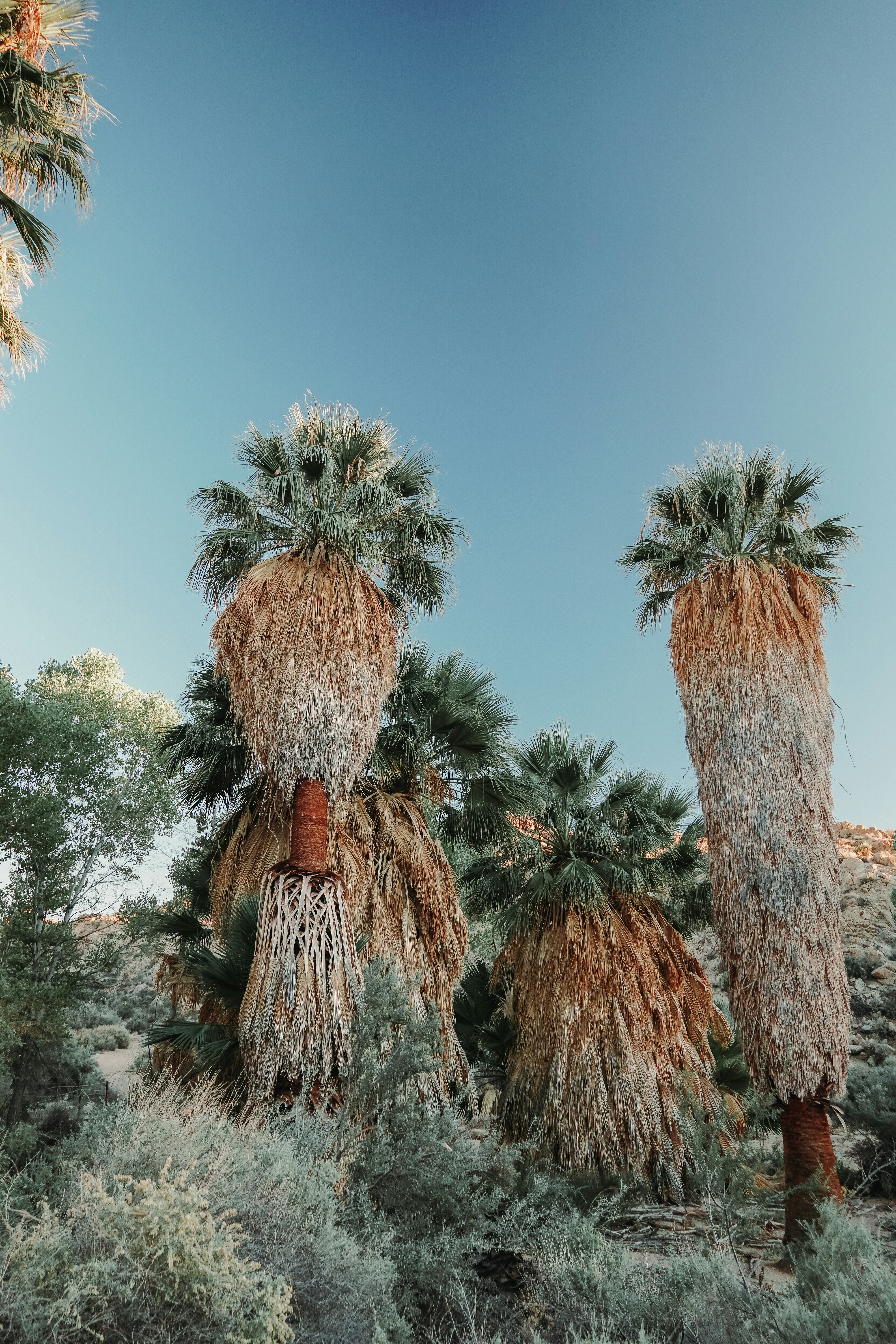 Photo by carbonsource