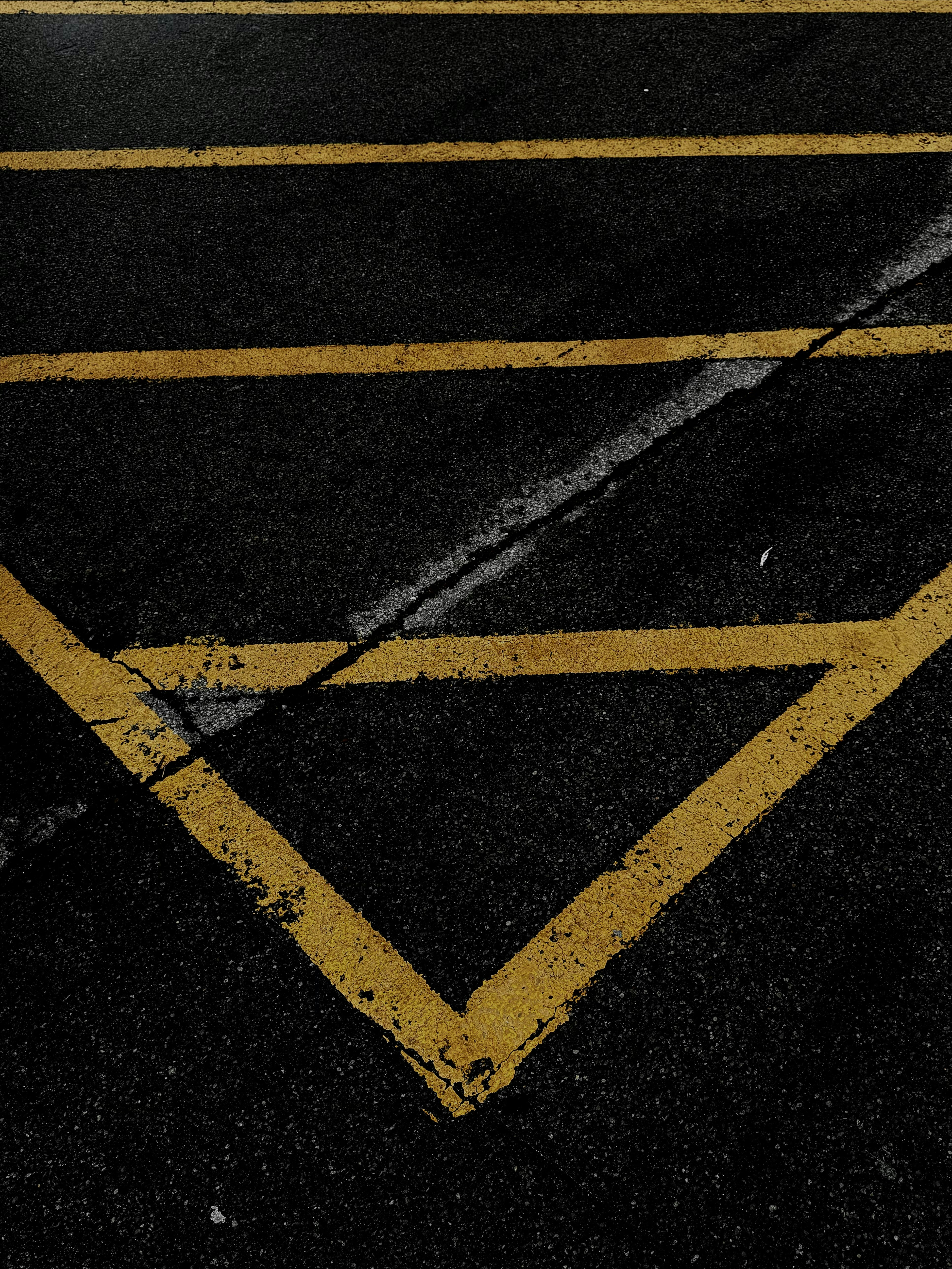 Photo by manmeetsingh