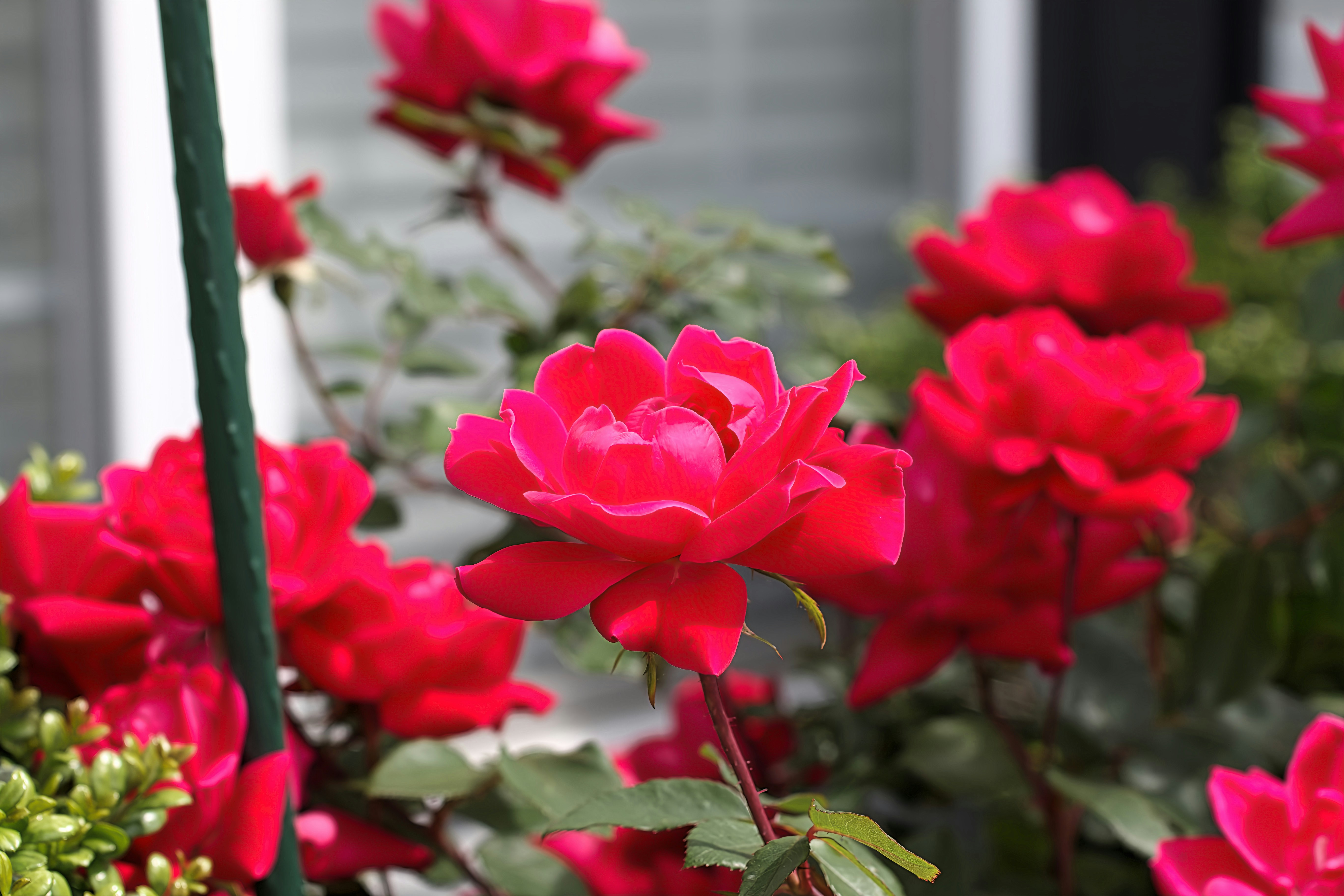 Photo by barryalbert24