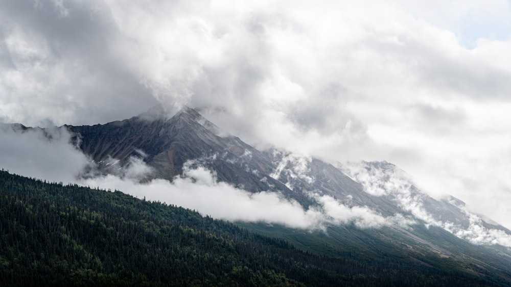 a mountain covered in clouds and trees under a cloudy sky