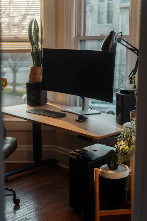 Photo of a similar item: FLEXISPOT EN1 Electric Standing Desk, 48 x 24 in