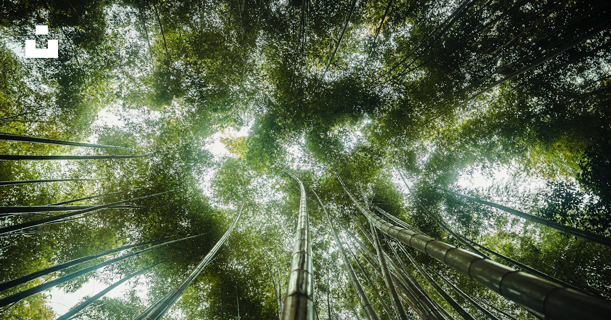 Separé da esterno Albero di bambù artificiale per esterni 1,5 m di Separé da esterno Albero di bambù artificiale per esterni 1,5 m di