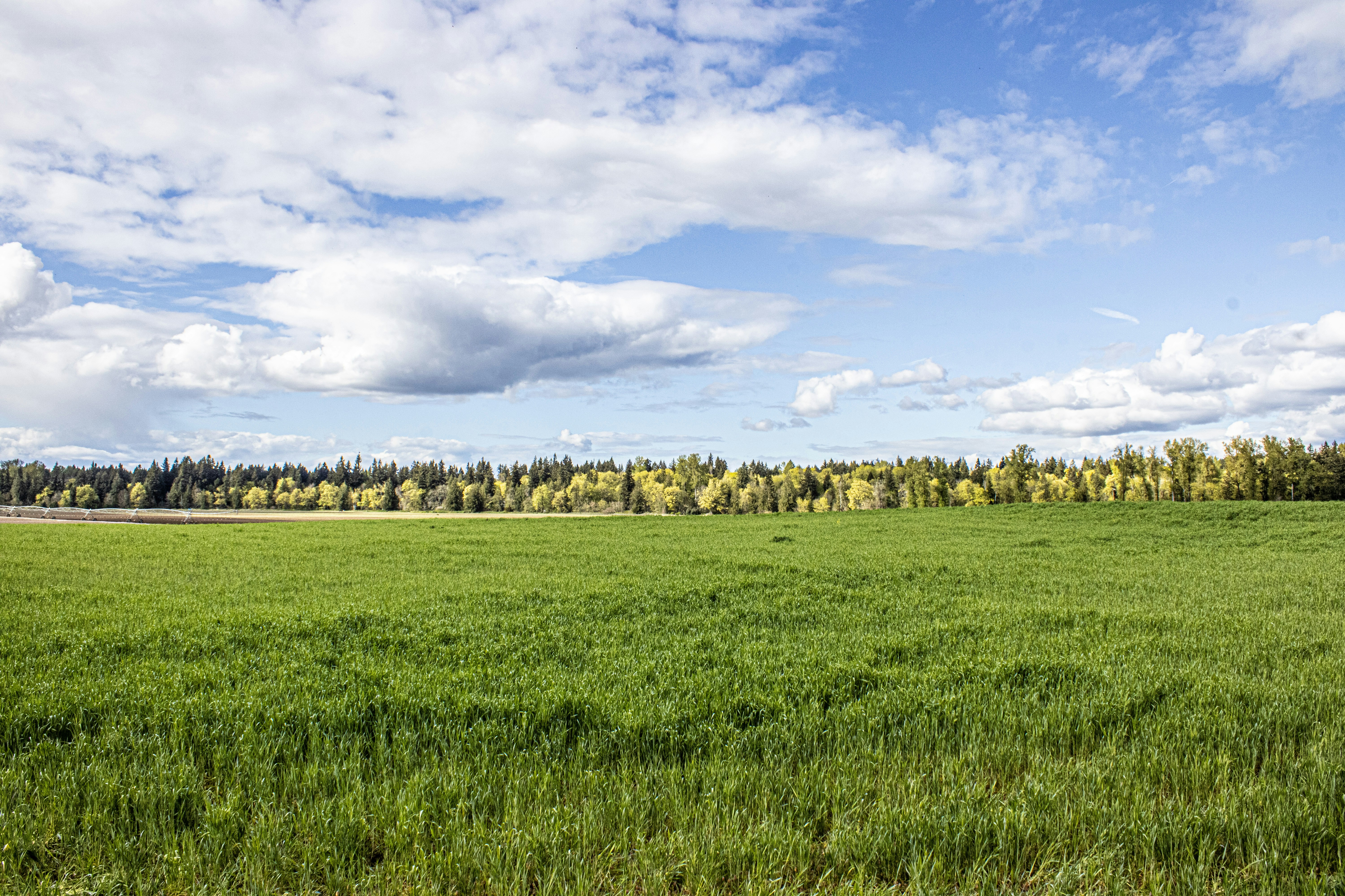 Photo by prphotography262