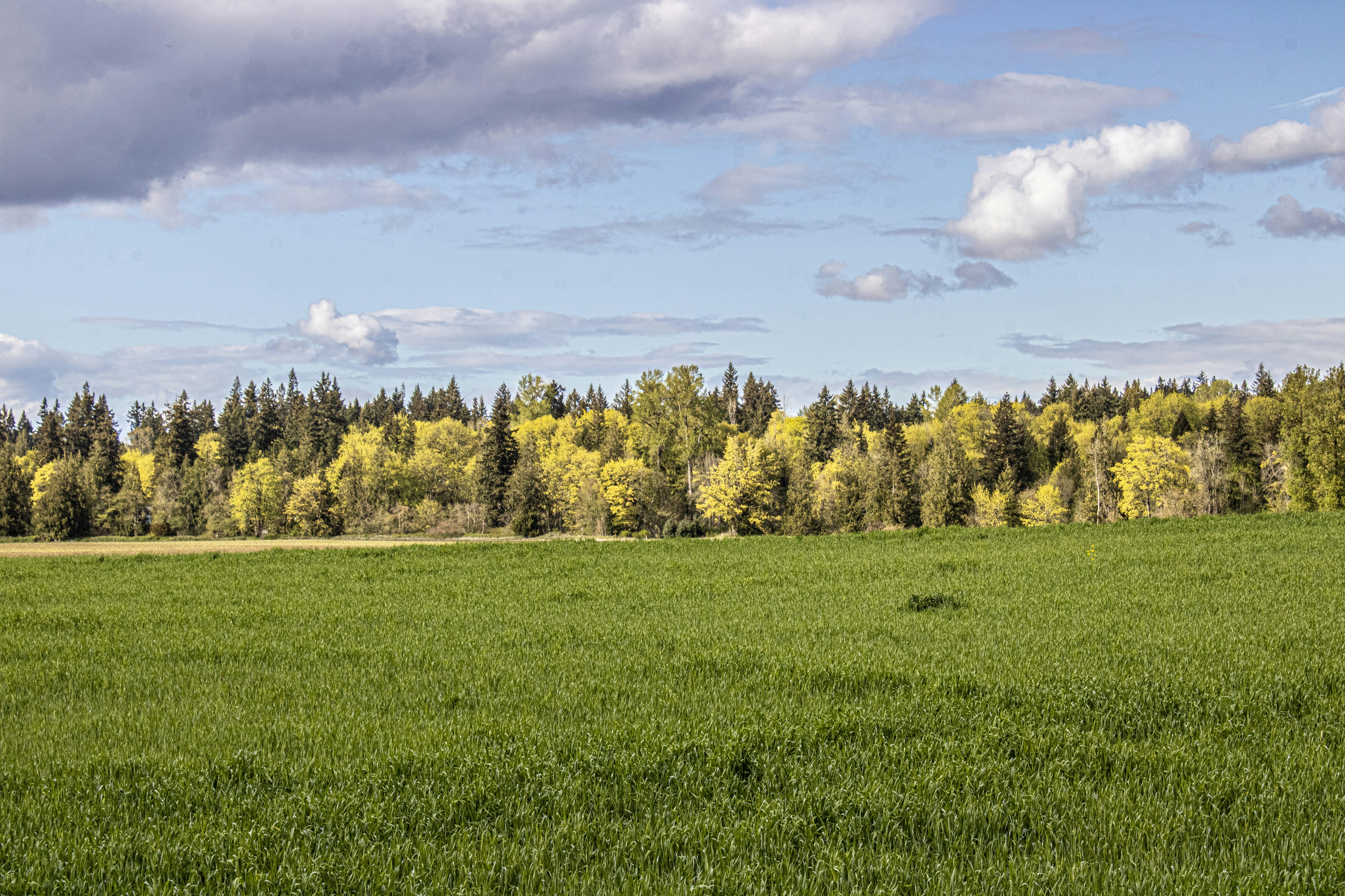 Photo by prphotography262