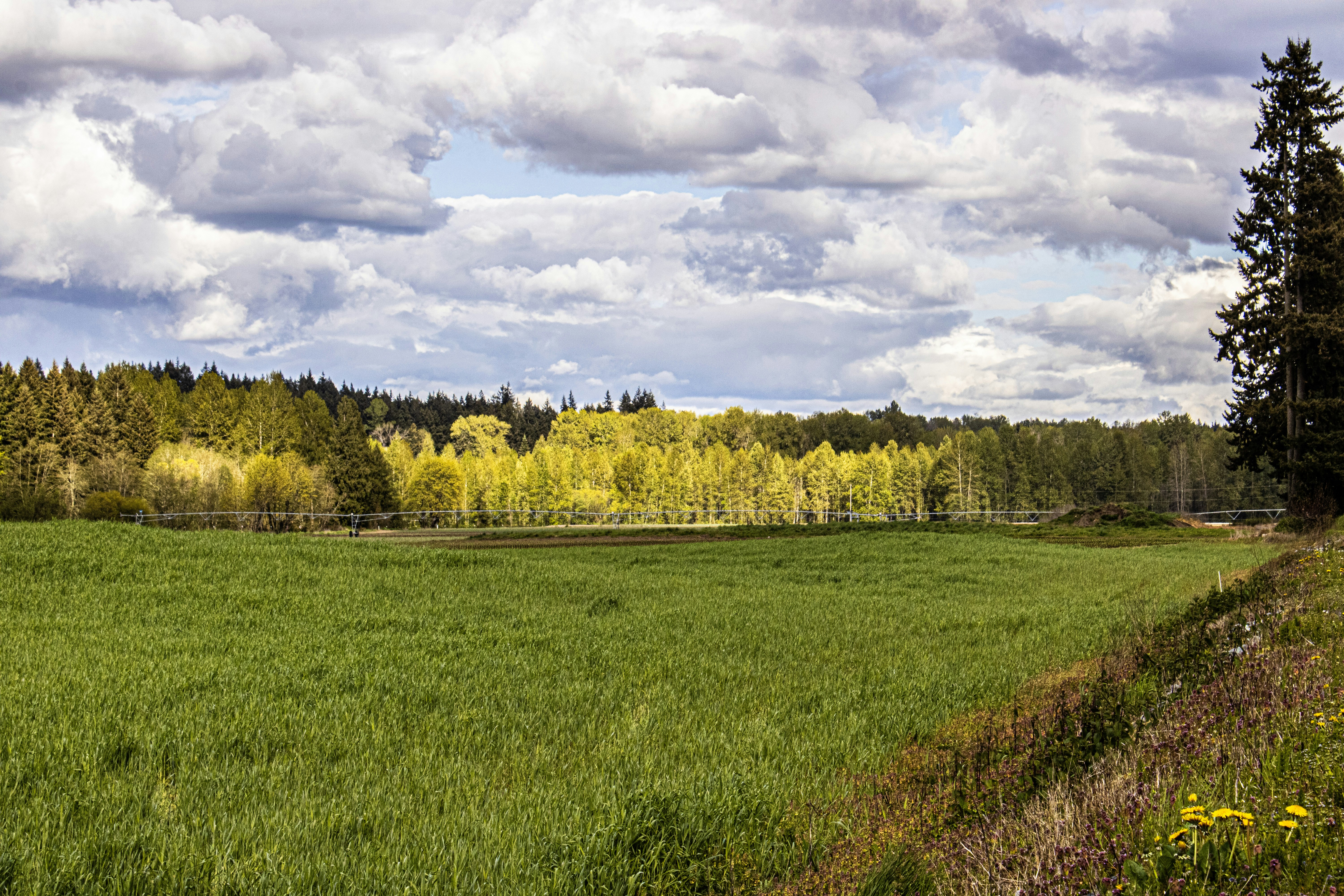 Photo by prphotography262