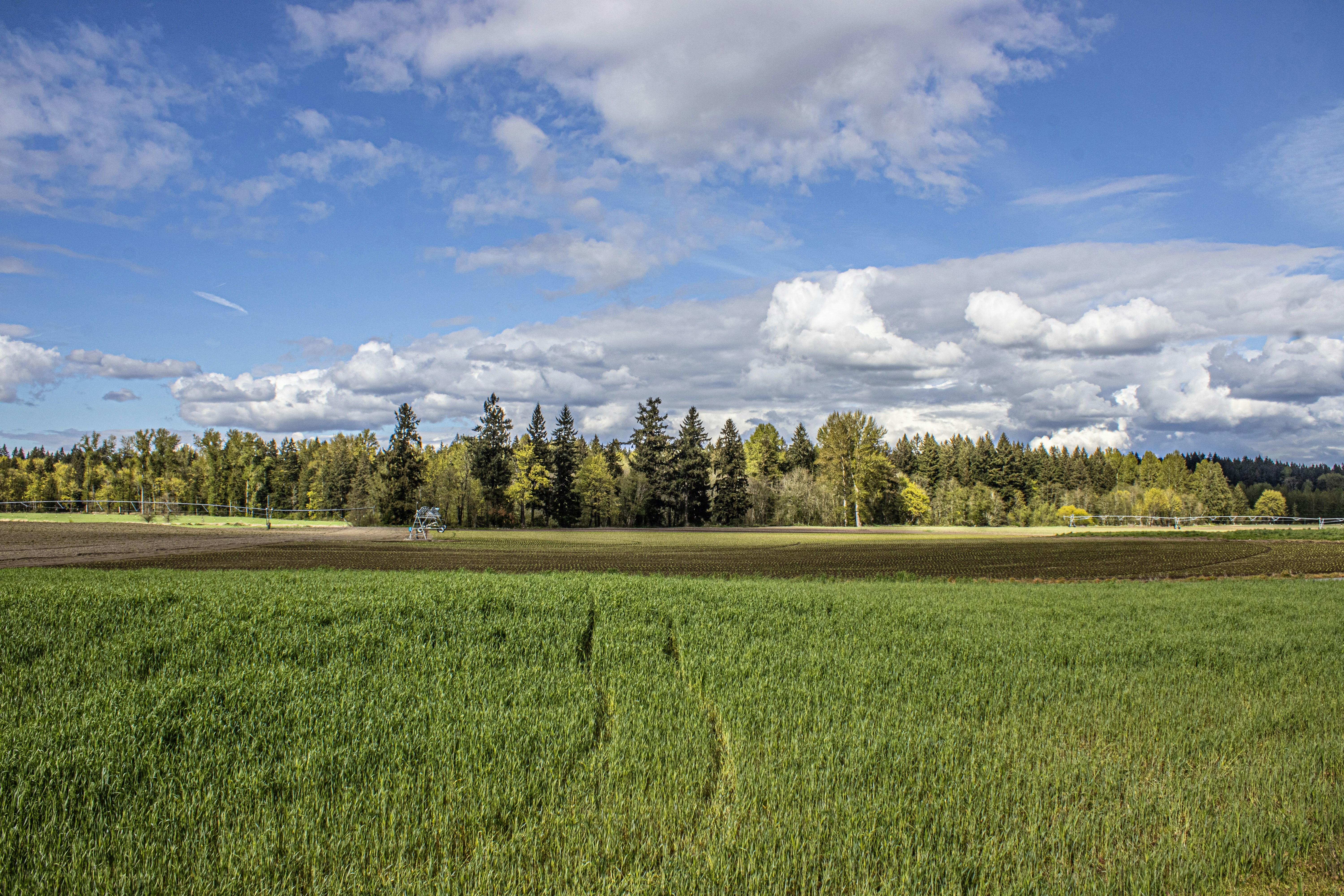 Photo by prphotography262