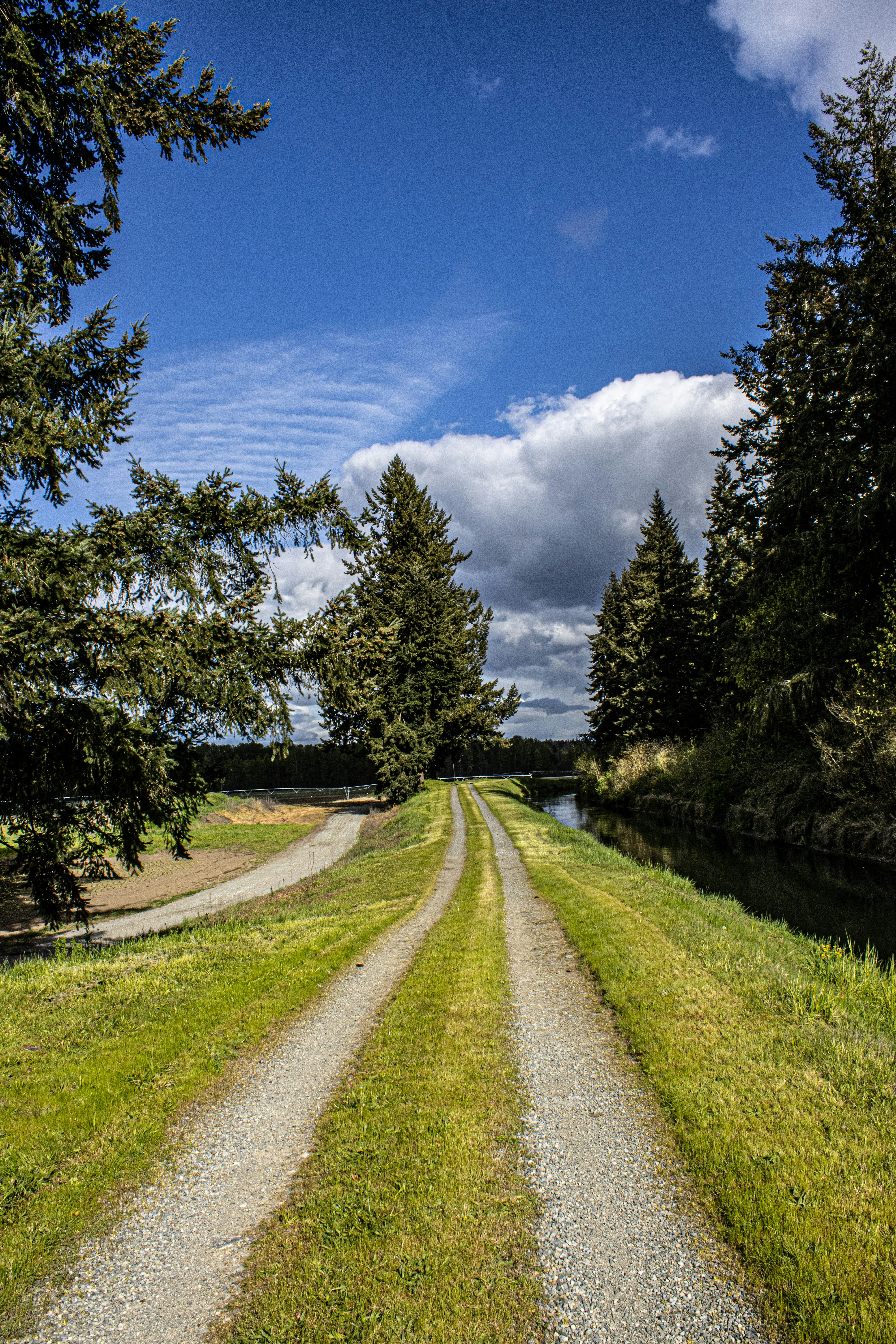 Photo by prphotography262