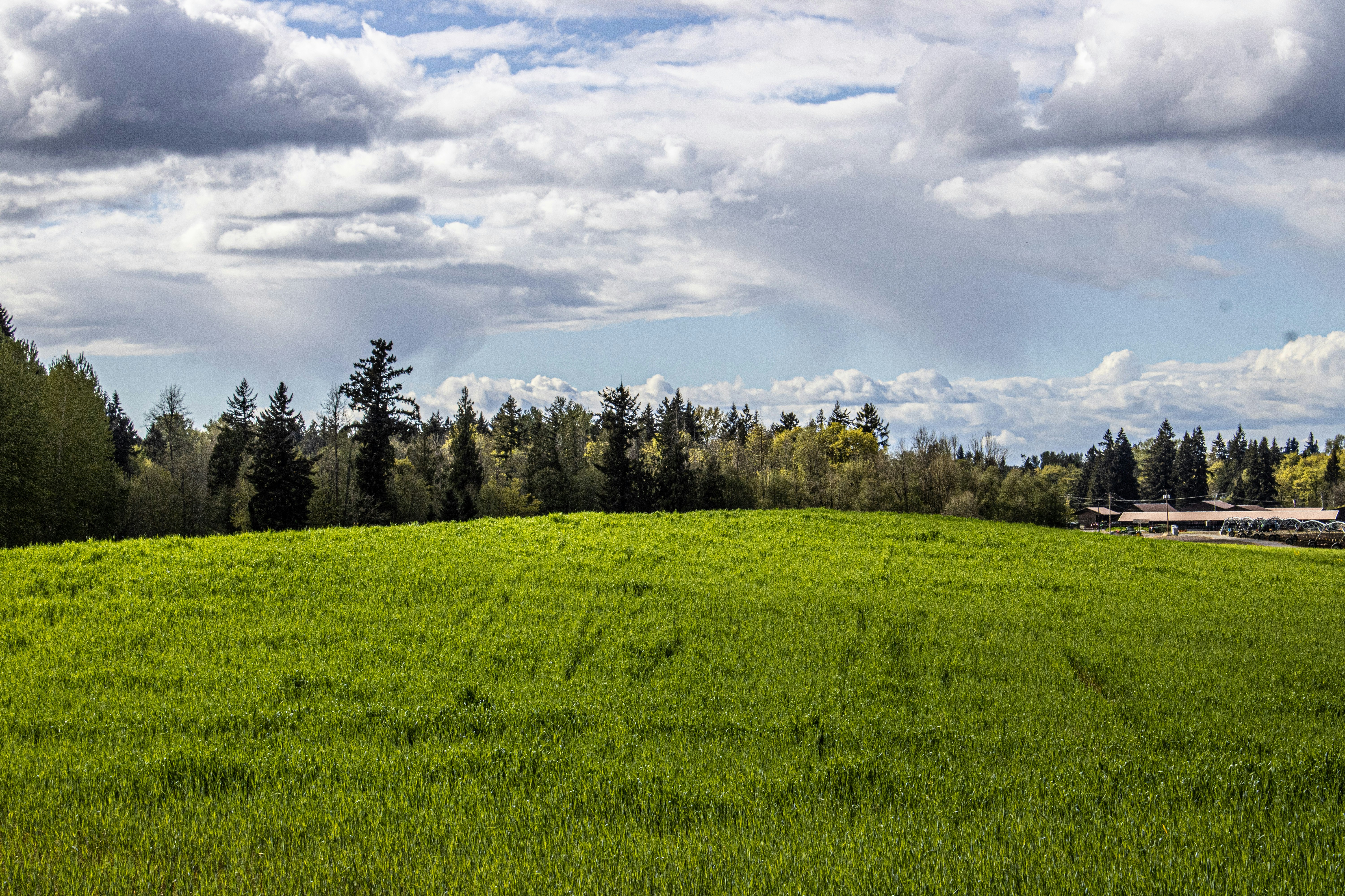 Photo by prphotography262