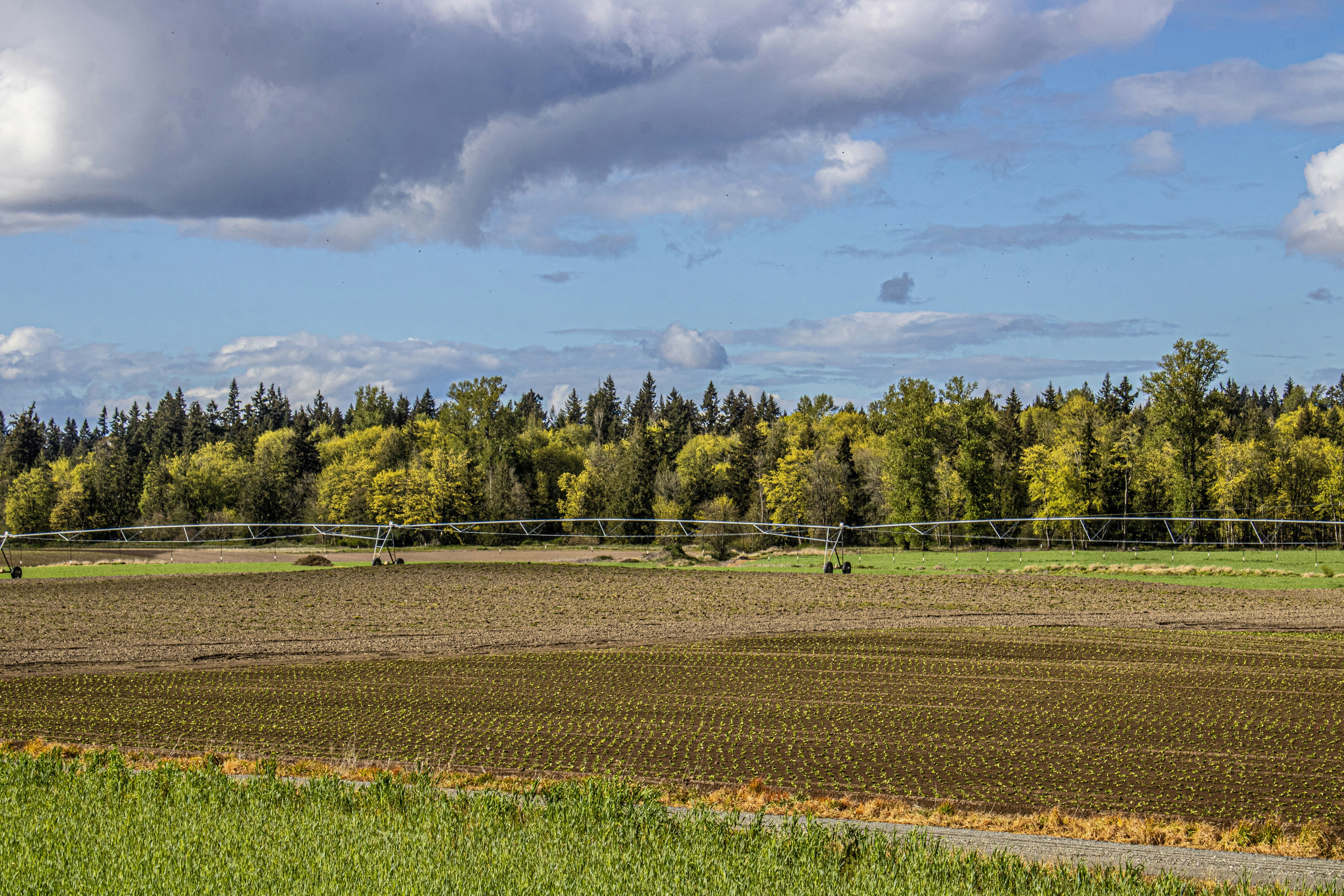 Photo by prphotography262