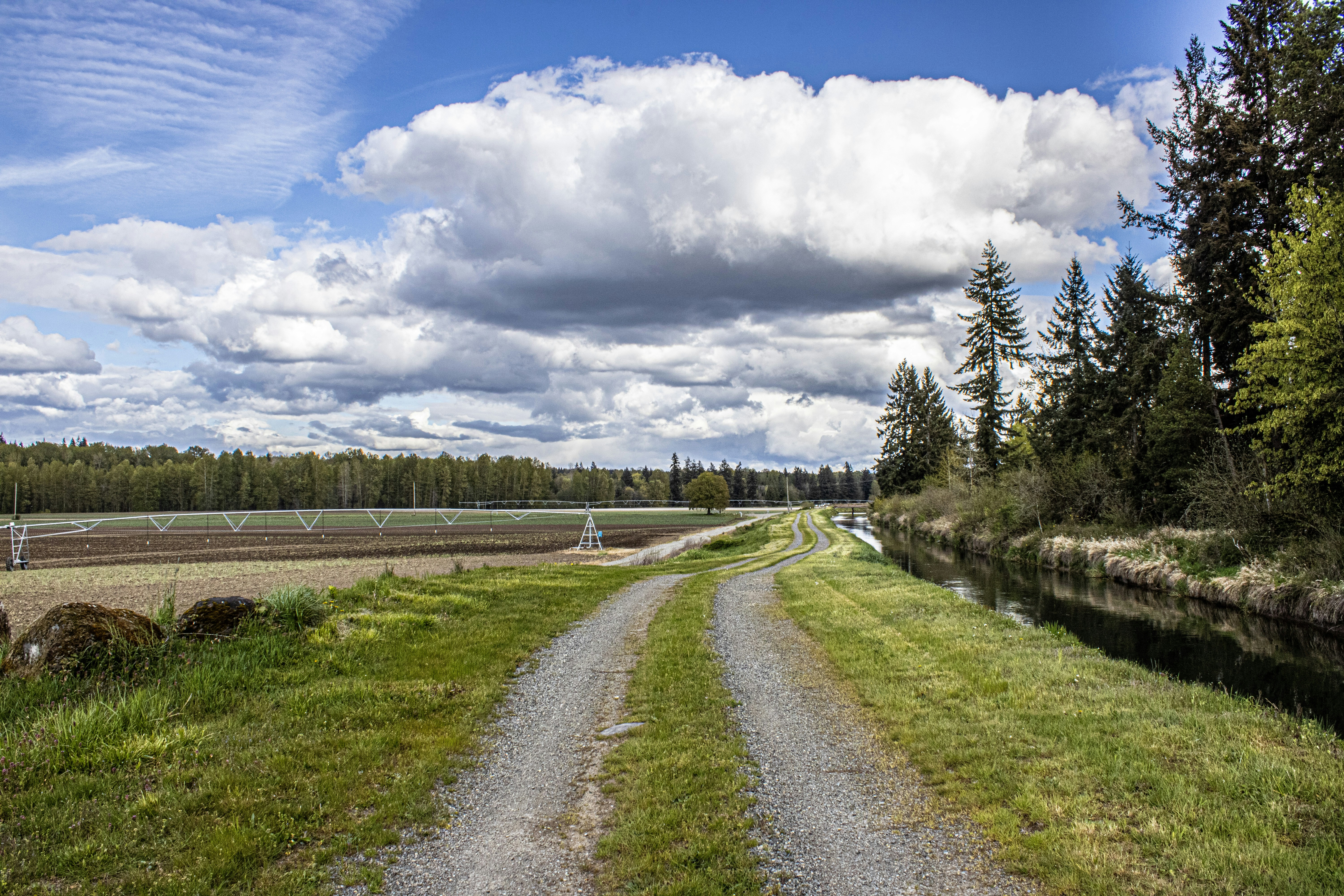 Photo by prphotography262