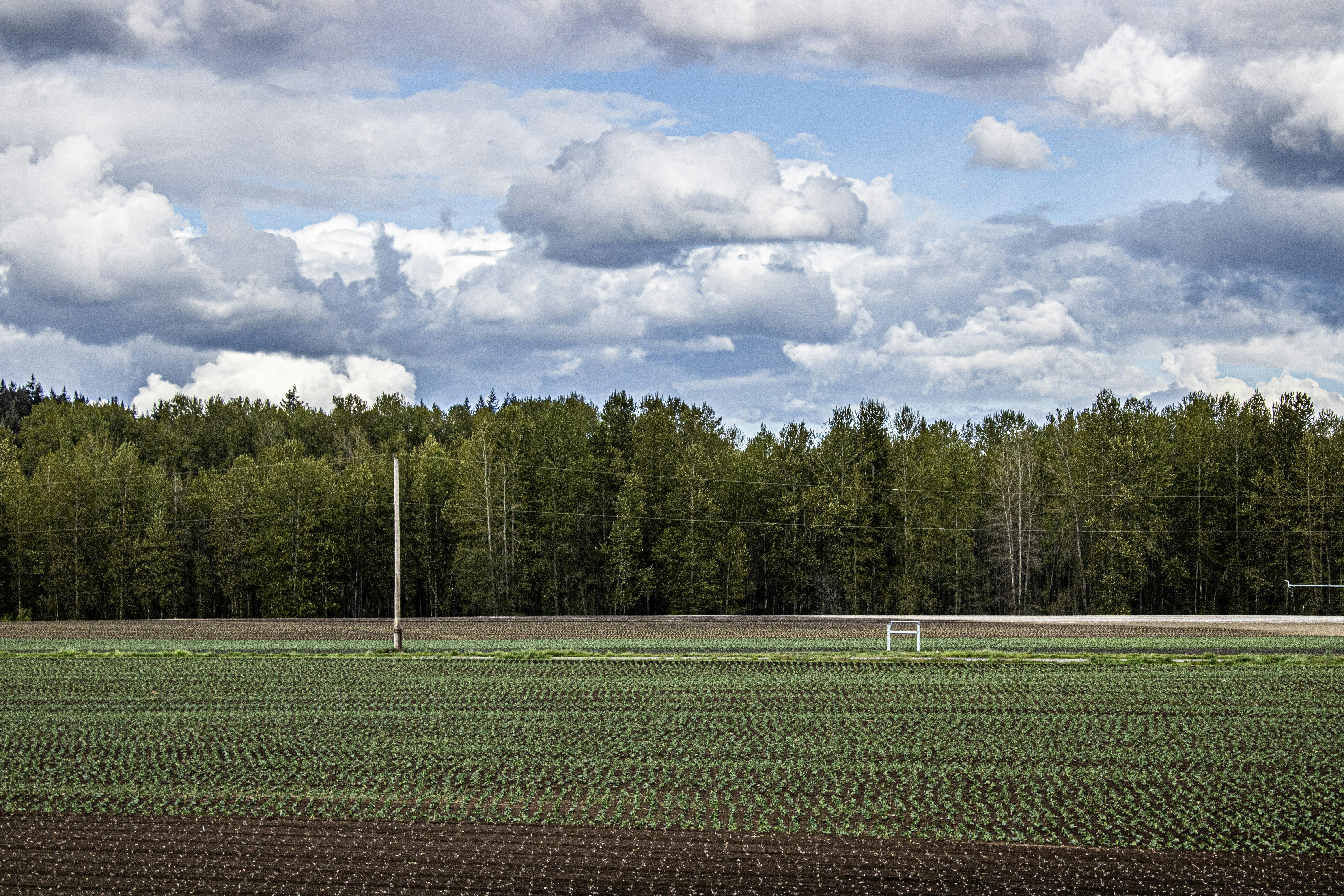 Photo by prphotography262