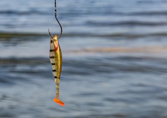 fishing baits