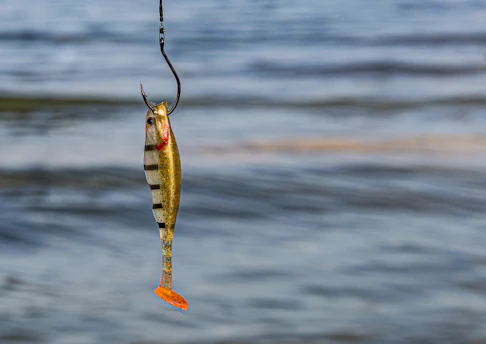 fishing baits
