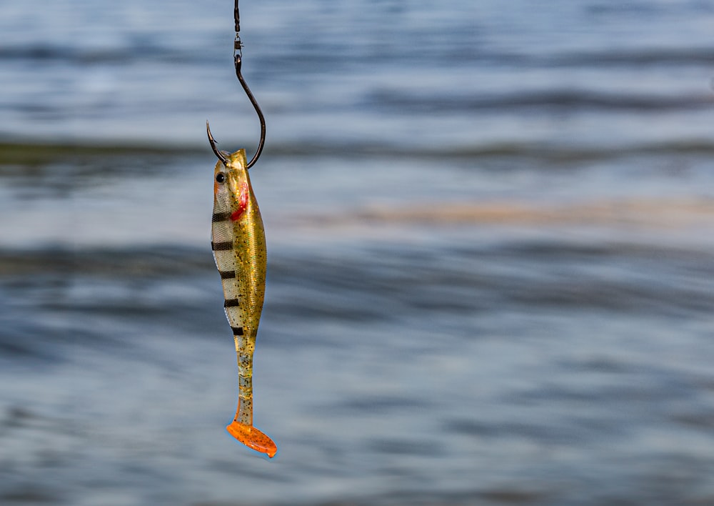 a fish hanging from a hook in the water
