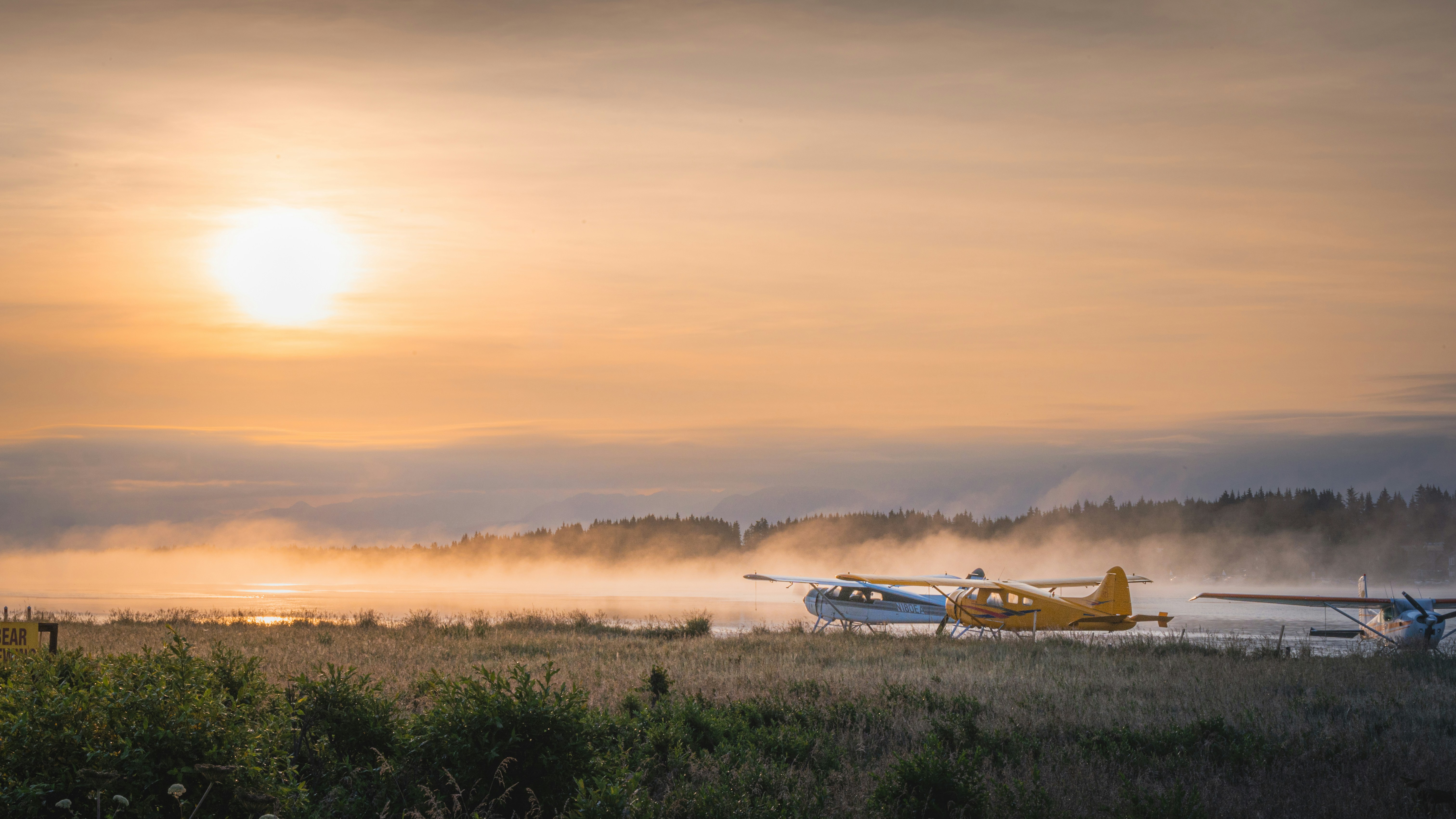 a plane that is sitting in the grass