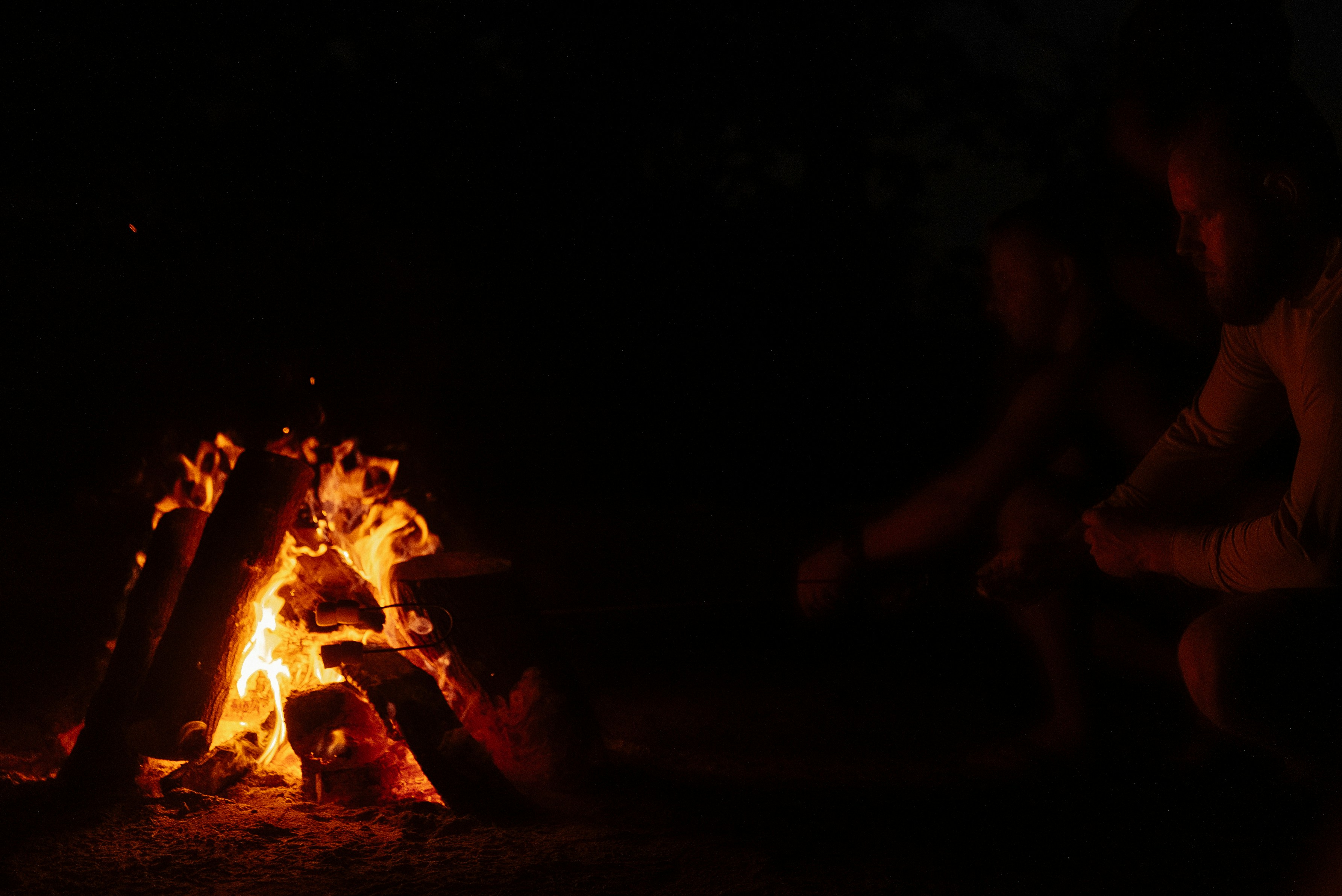 Hollywood Wraps Turbulent 2025 with Strong Box Office Performance from Avatar and Marty Supreme