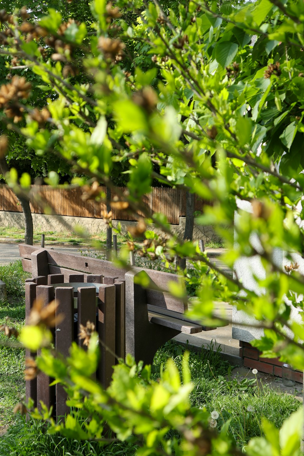 a bench sitting in the middle of a lush green park