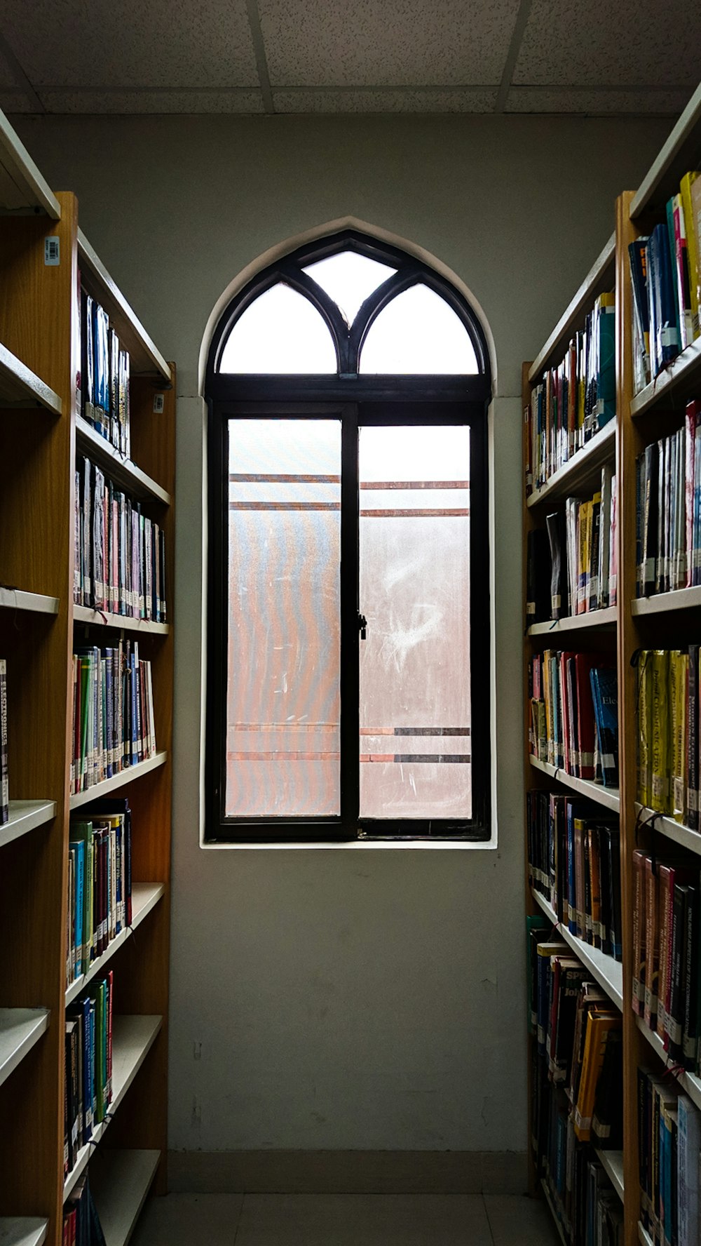 a window in a library filled with lots of books