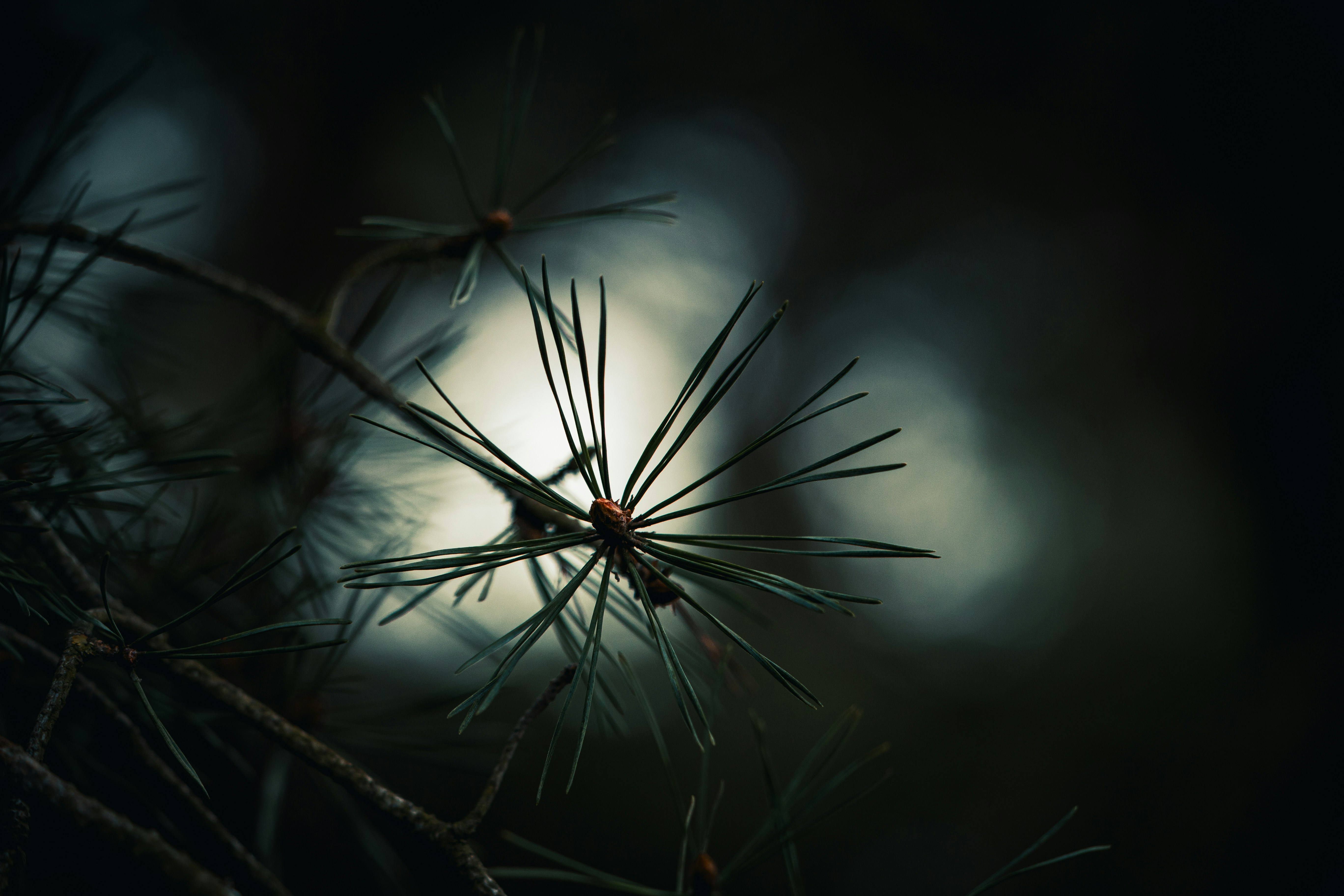 Crystals resting under full moonlight
