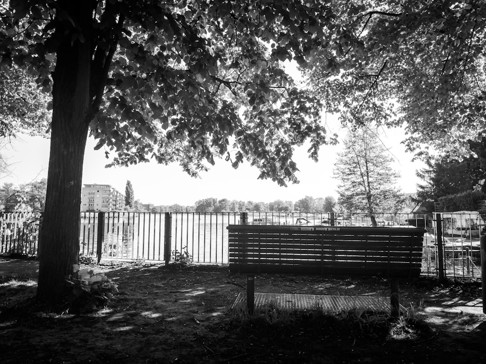 uma foto em preto e branco de um banco de parque