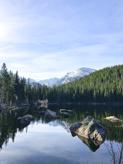 a lake surrounded by a forest with a mountain in the background