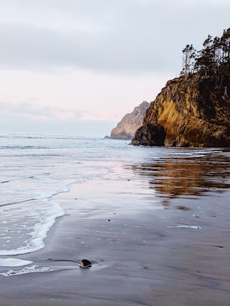 Oregon Coast - Cliffs & trees butt up against the ocean waves