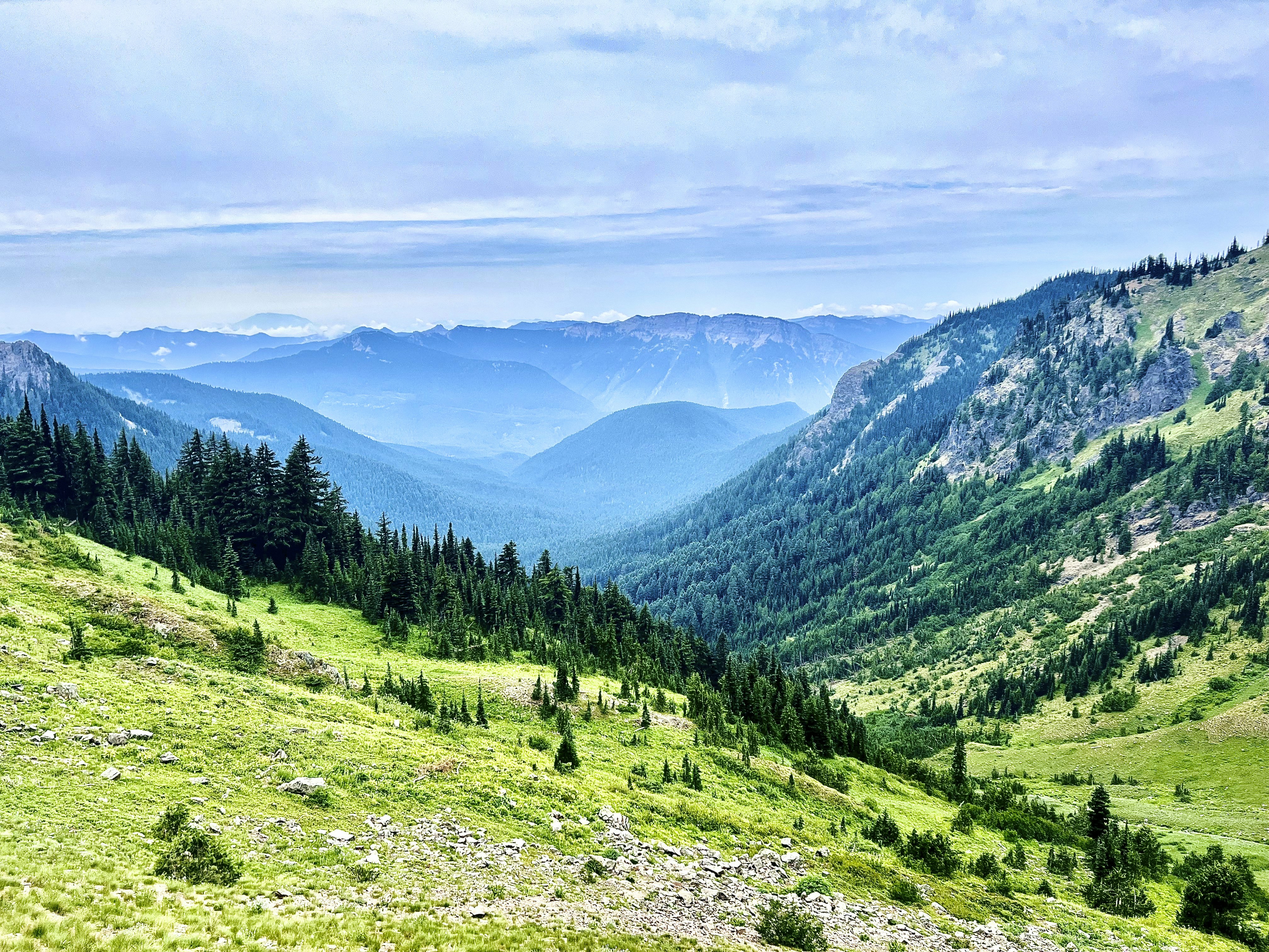 Photo by lauren__lester