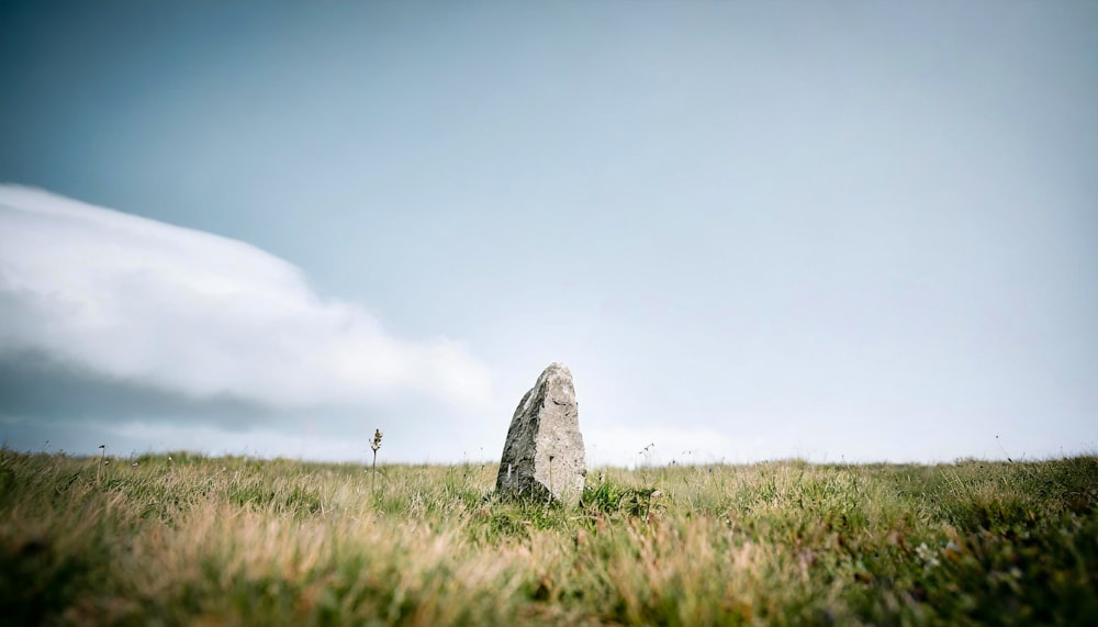 a stone standing in a grassy field under a cloudy sky