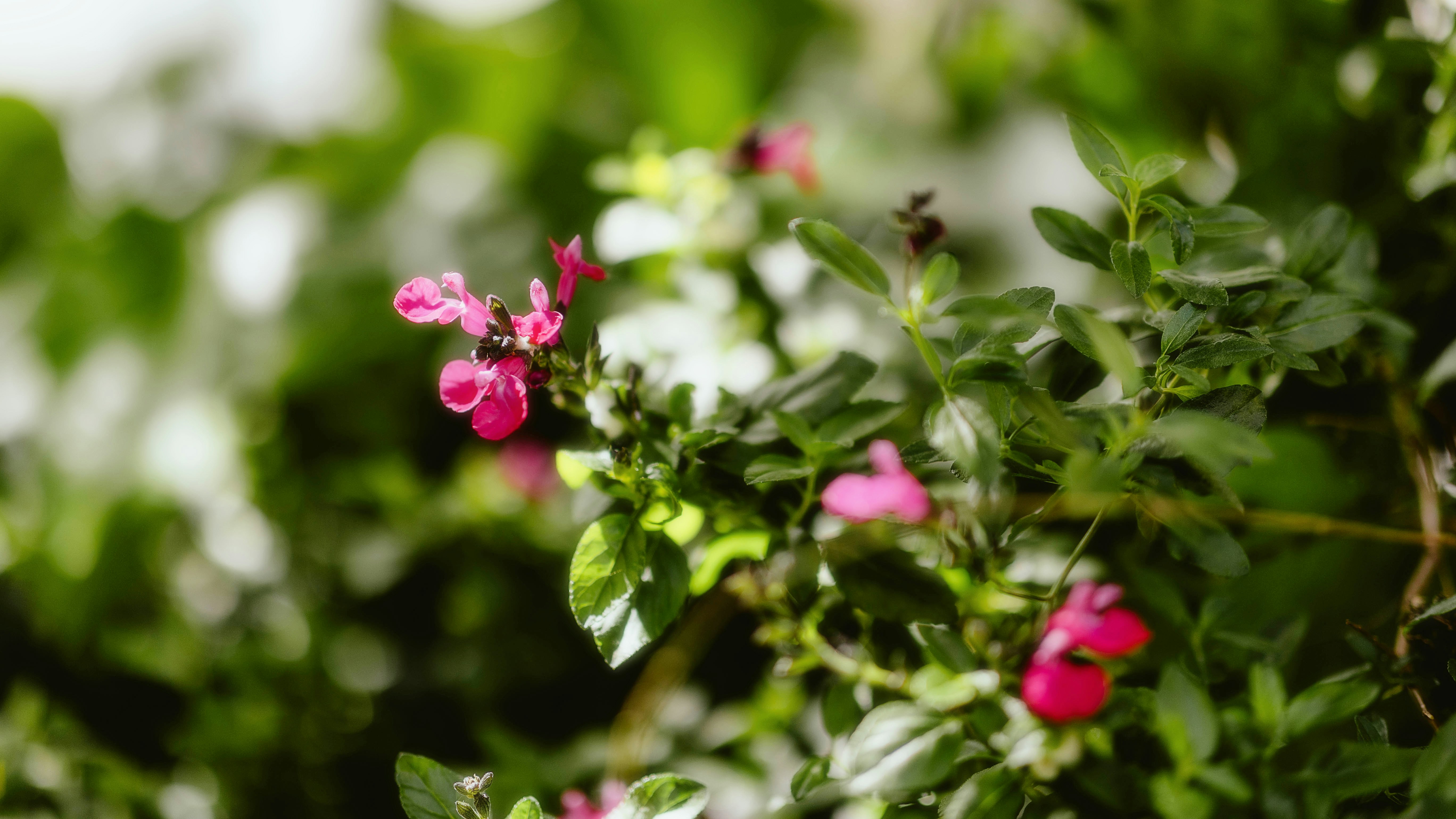 Photo by alingavriliuc