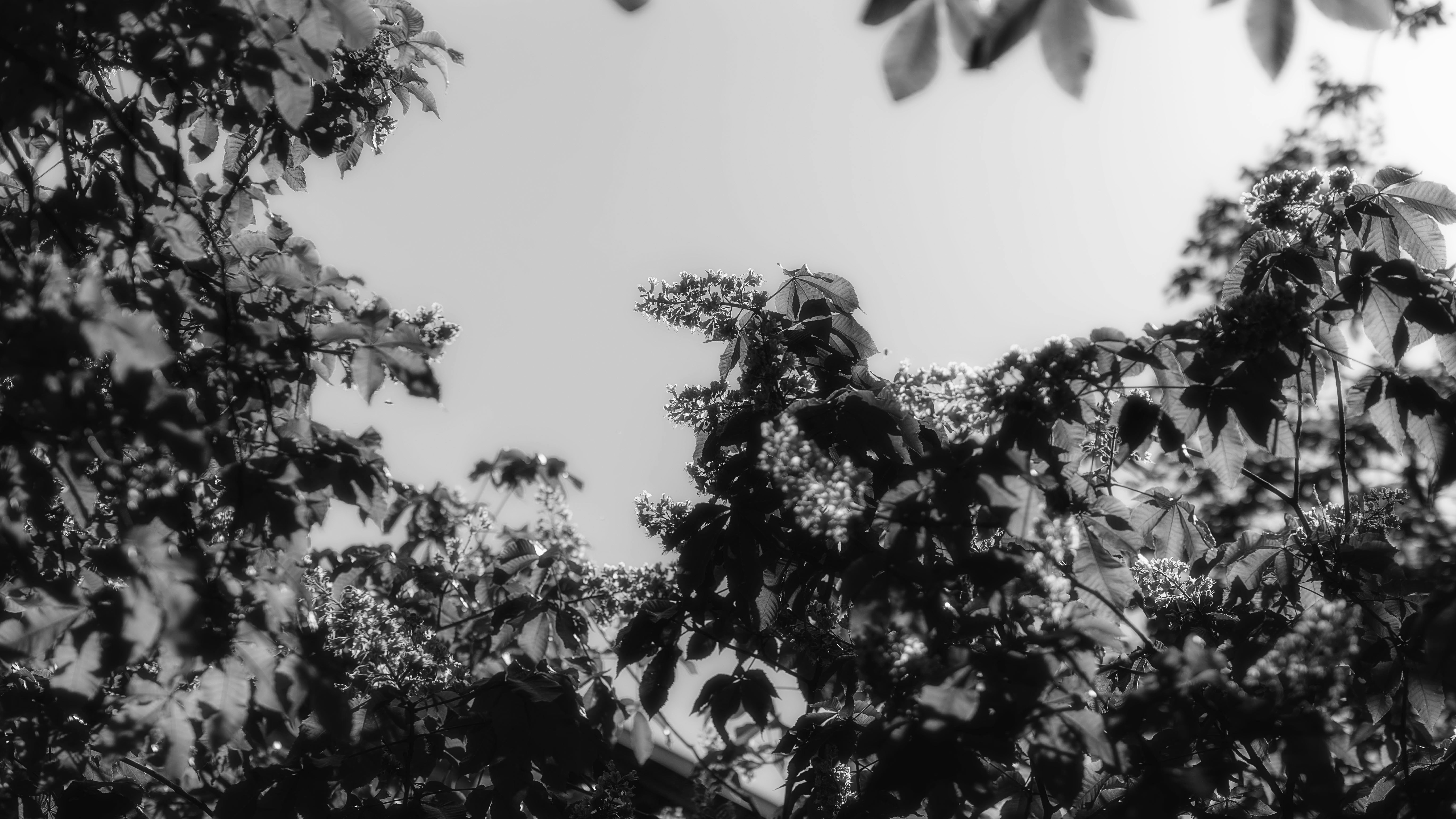 photo-1714769889101-64d399d162e2?ixid=M3wxMjA3fDB8MXxzZWFyY2h8M3x8d2VnZW5pZS5rcnxlbnwwfHx8fDE3NDkzNTYwMzF8MA\u0026ixlib=rb-4.1.0