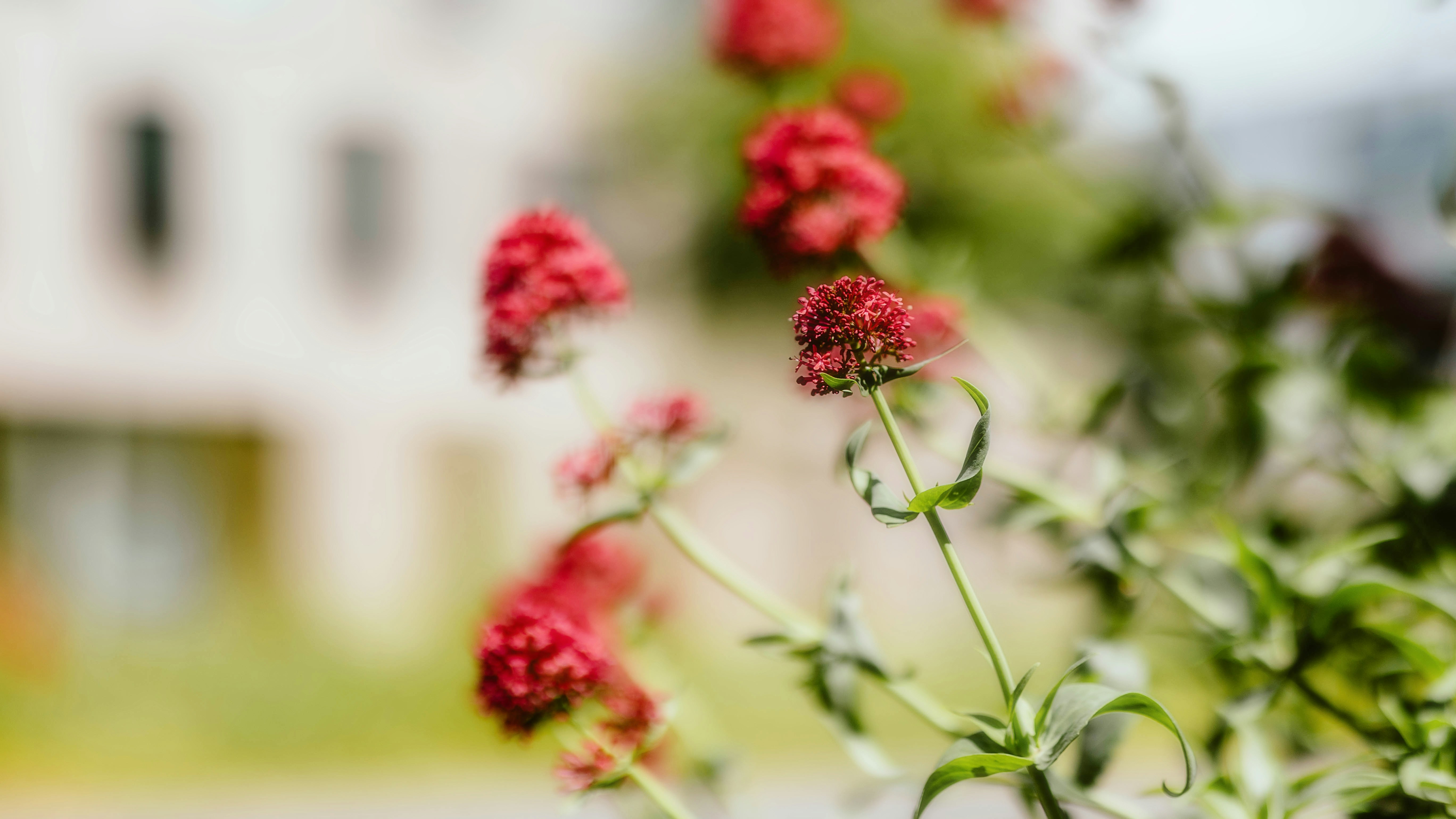 Photo by alingavriliuc