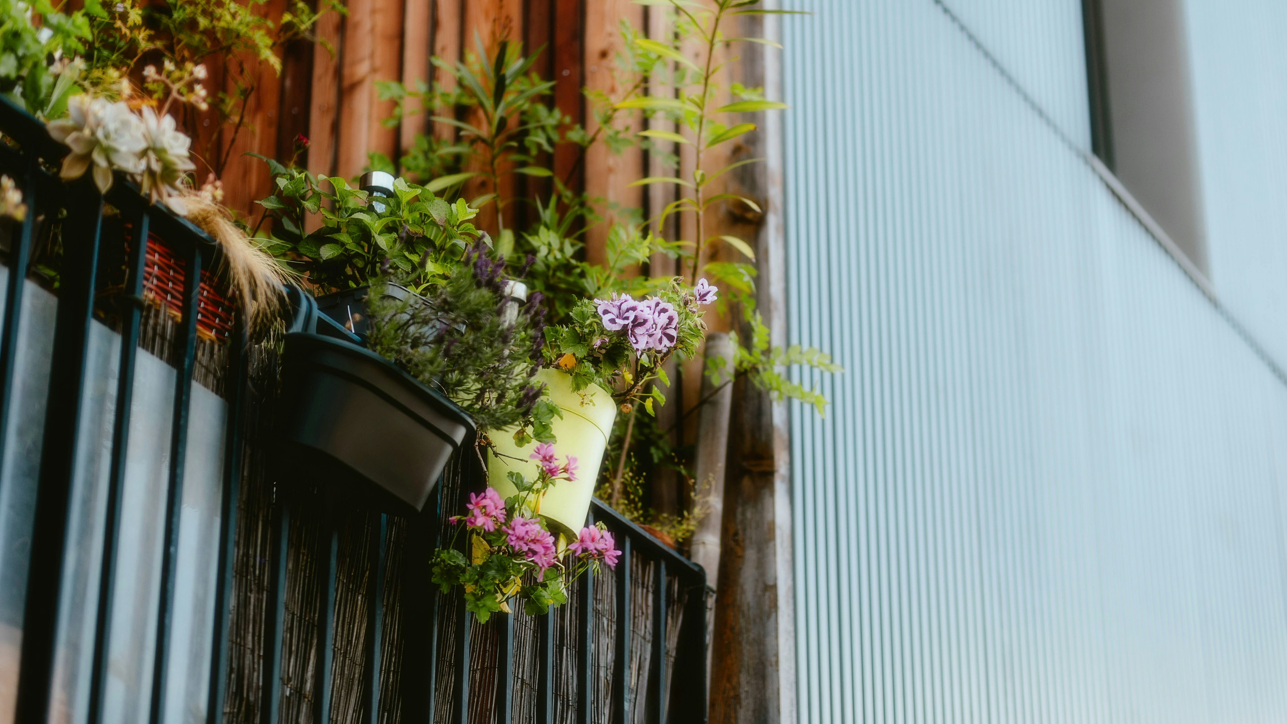 Photo by alingavriliuc