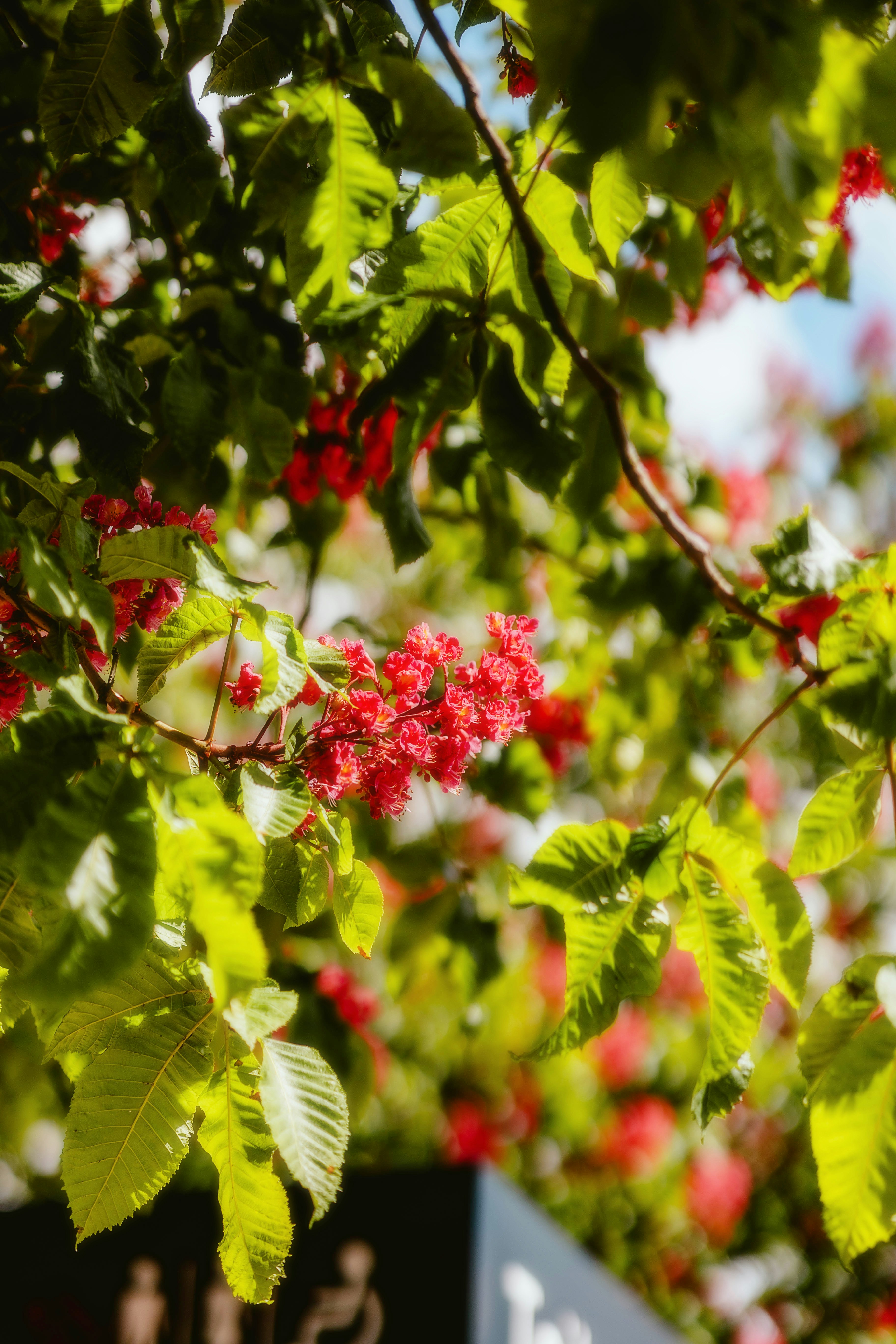 Photo by alingavriliuc