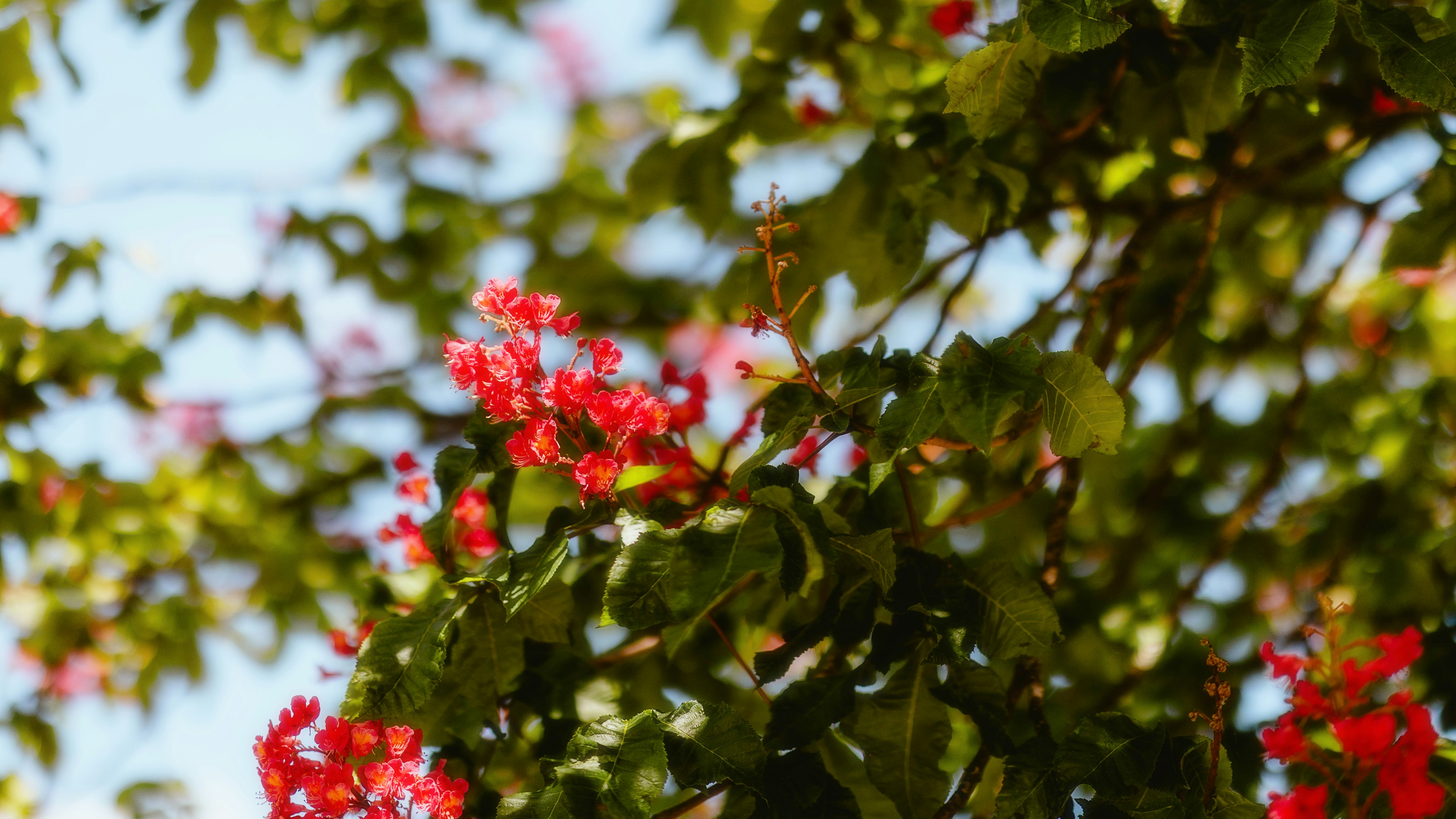 Photo by alingavriliuc