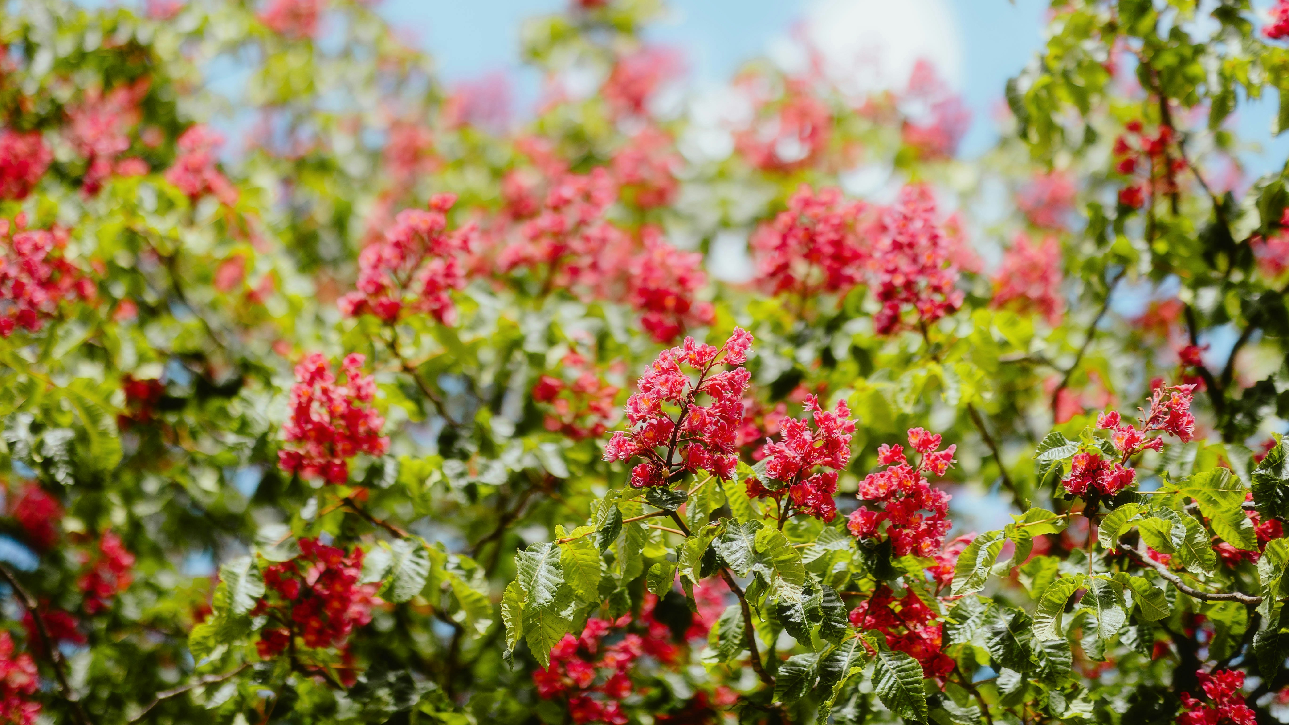 Photo by alingavriliuc