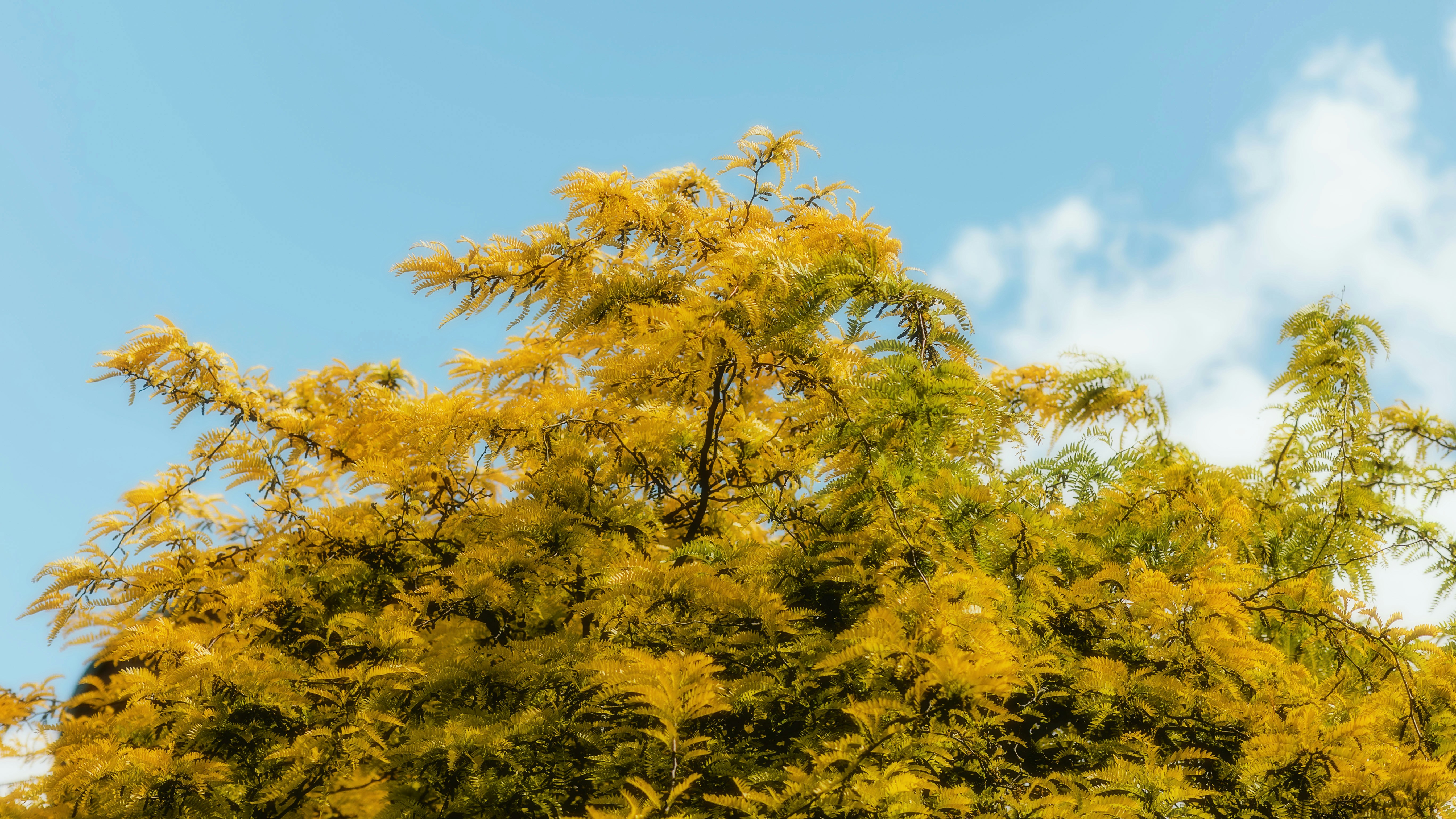 Photo by alingavriliuc