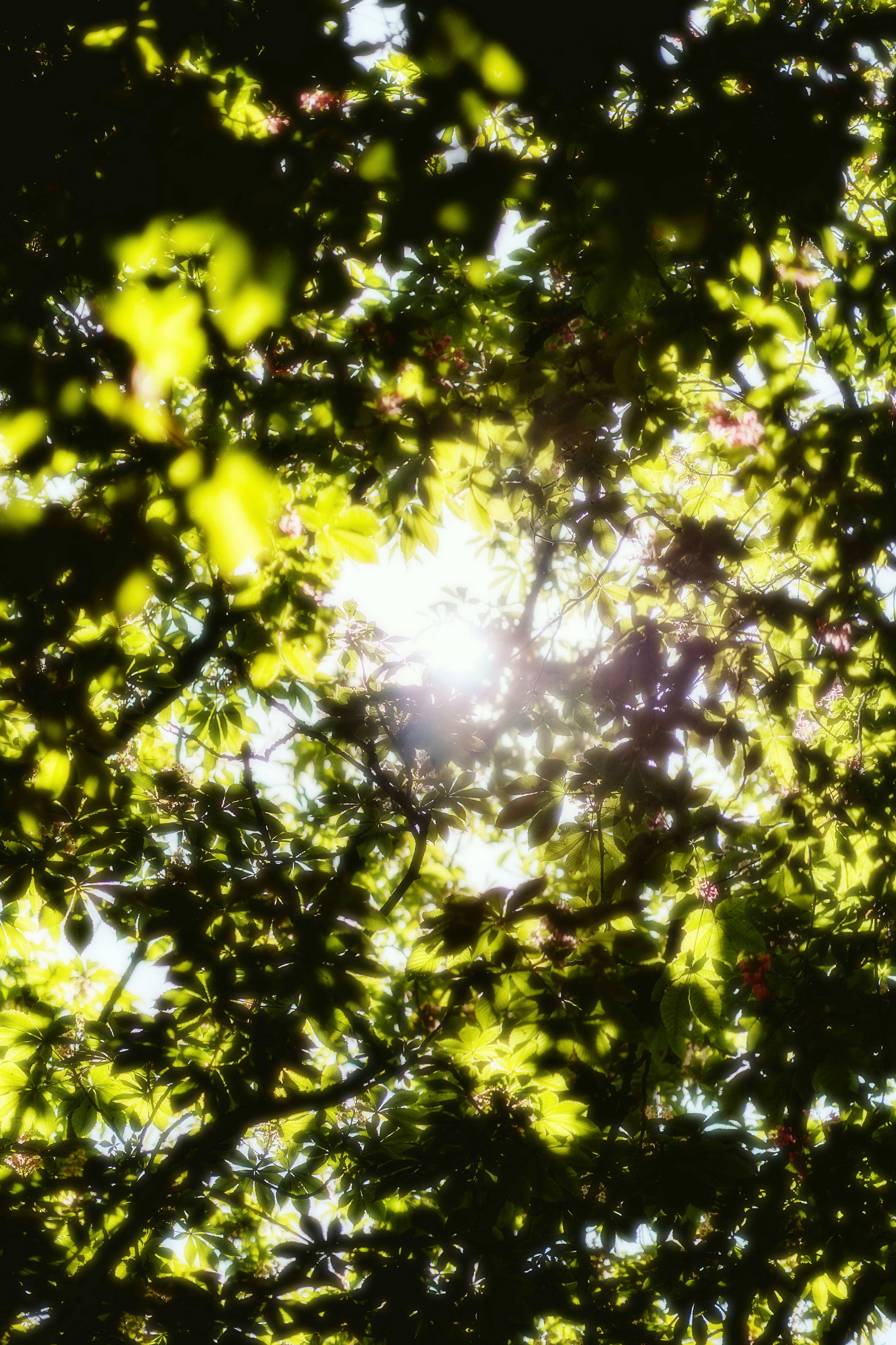 Photo by alingavriliuc