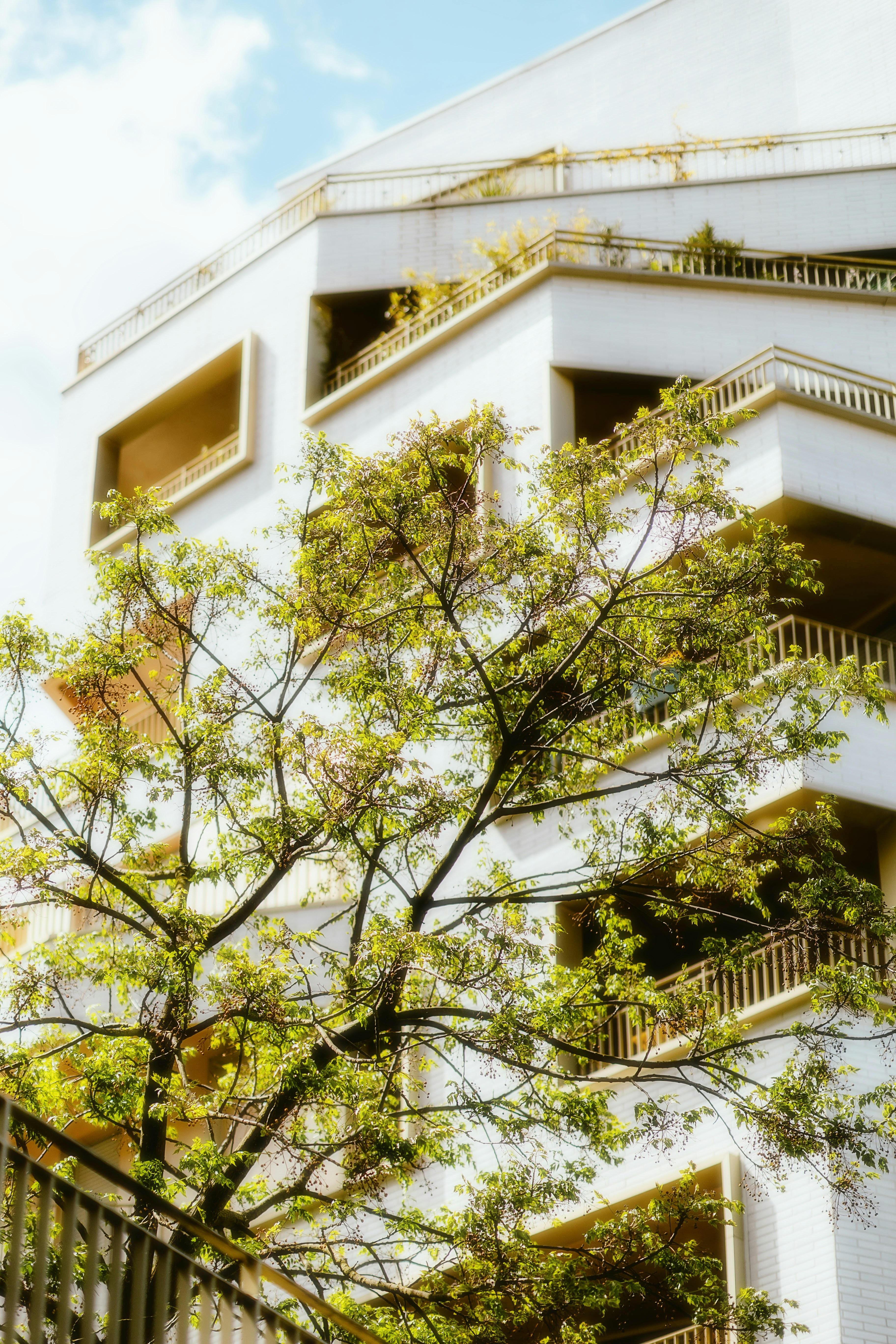 Photo by alingavriliuc