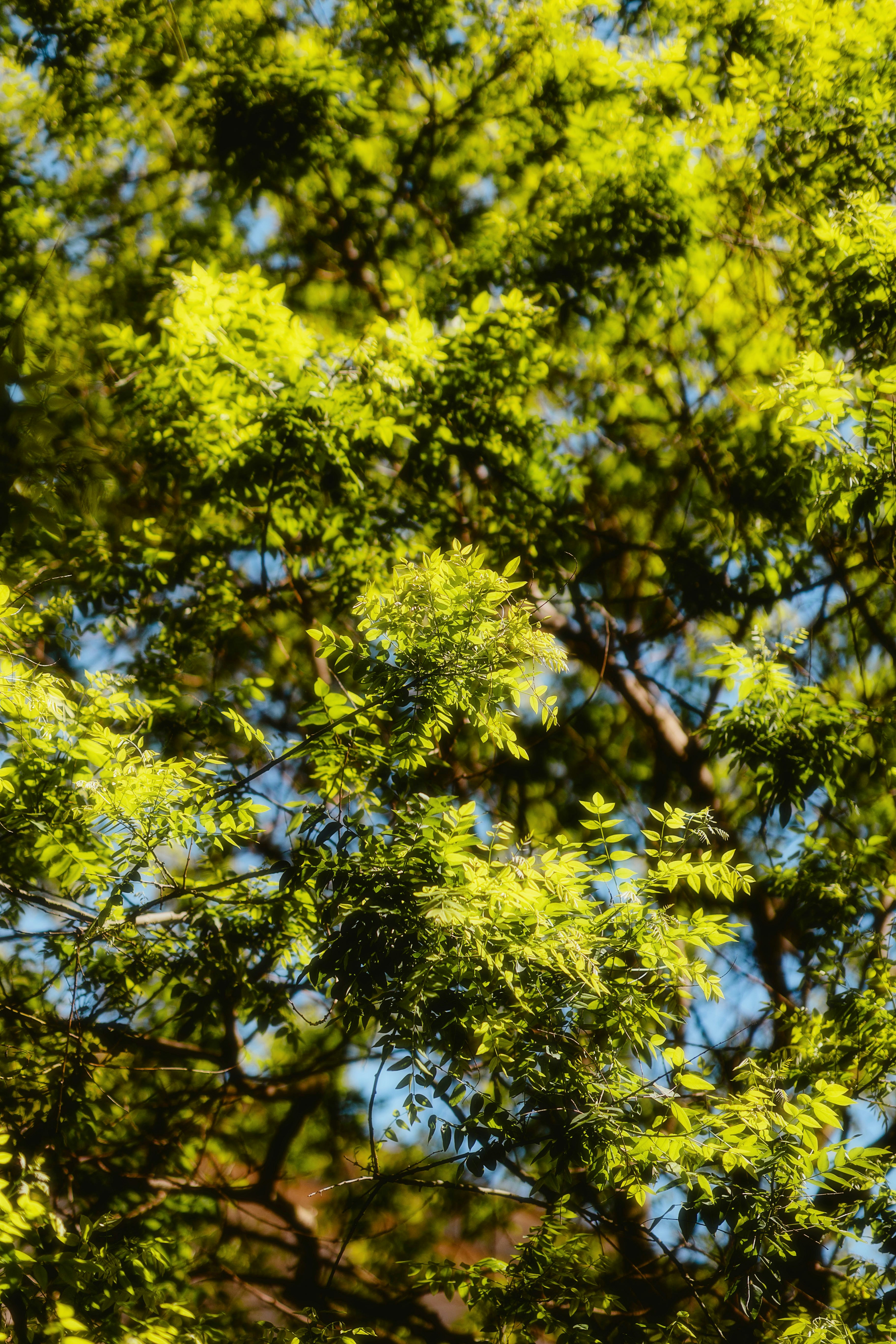 Photo by alingavriliuc