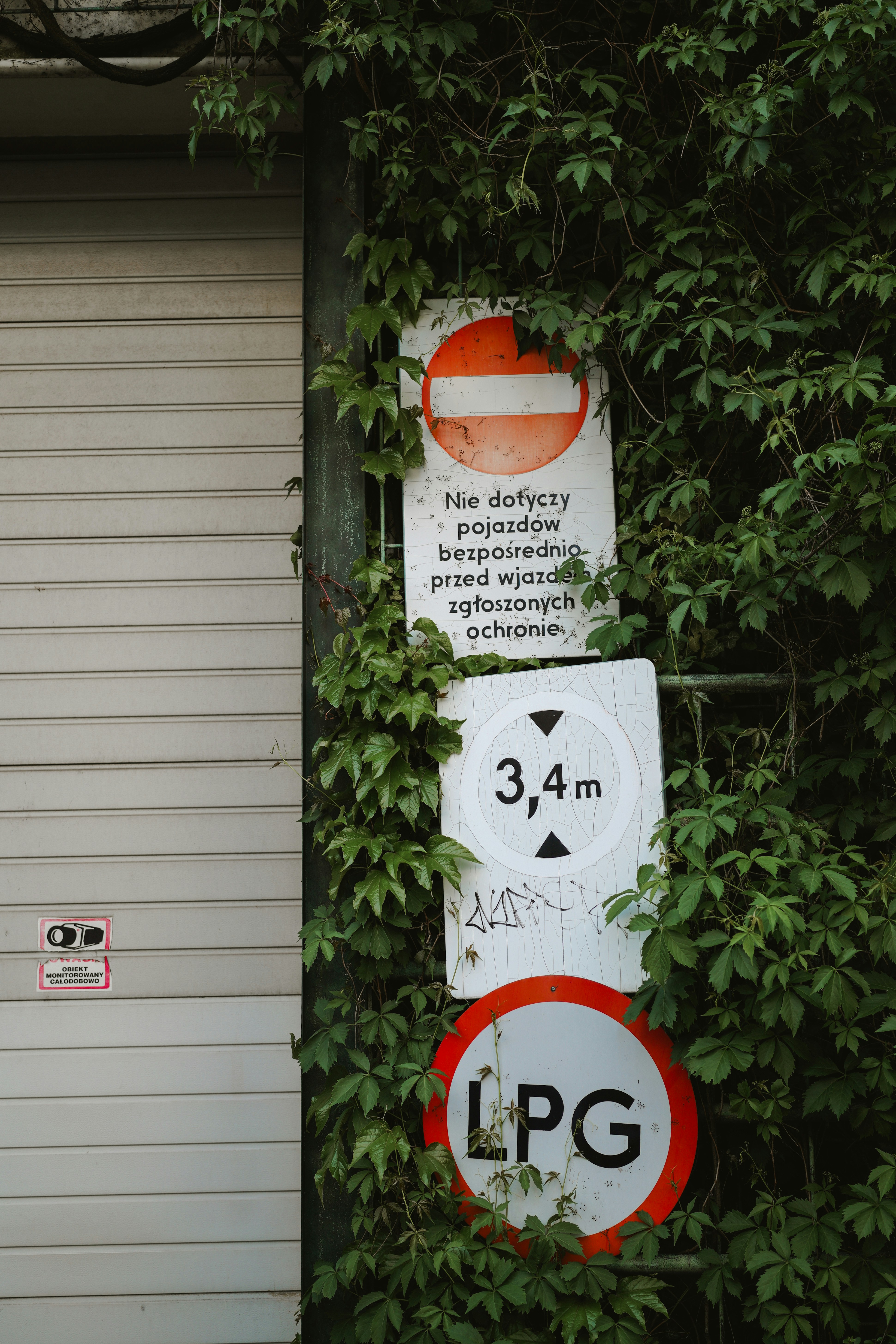 Photo by kateivanova__